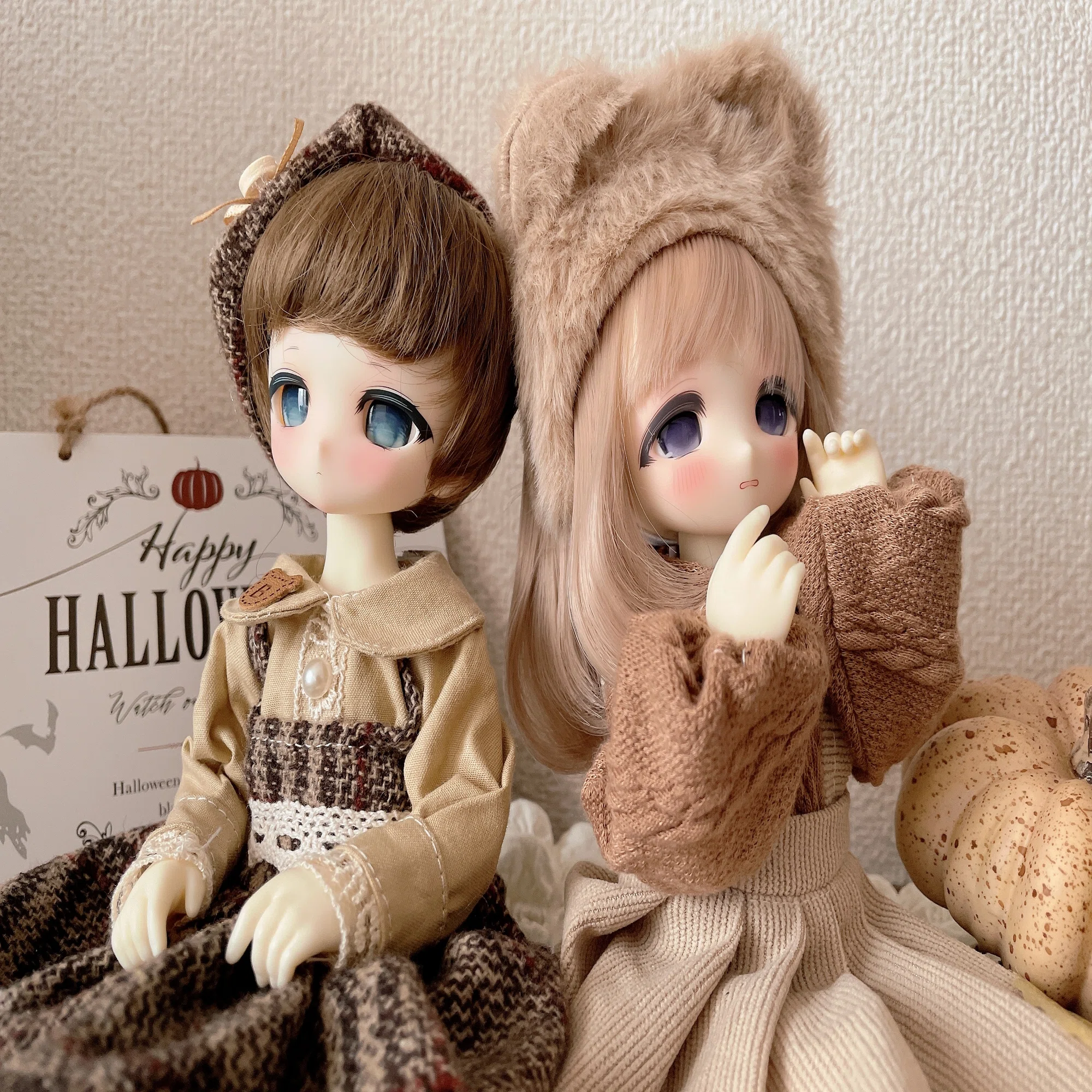 写真】最近お迎えしたTinyFoxをとにかく見せびらかす記事｜べいだー