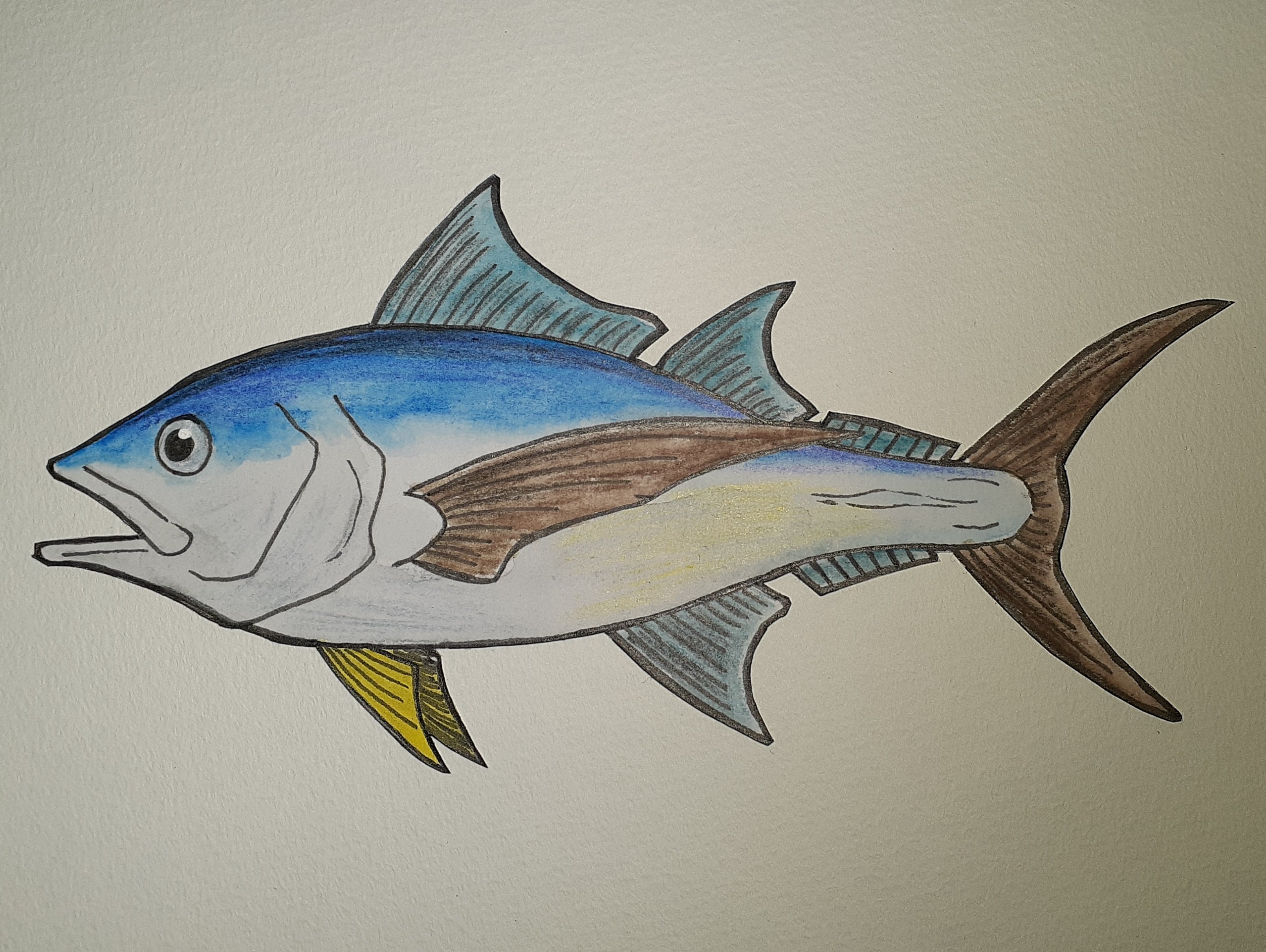 イラスト】魚七題｜TechpanCreate（テクパン・クリエイト）