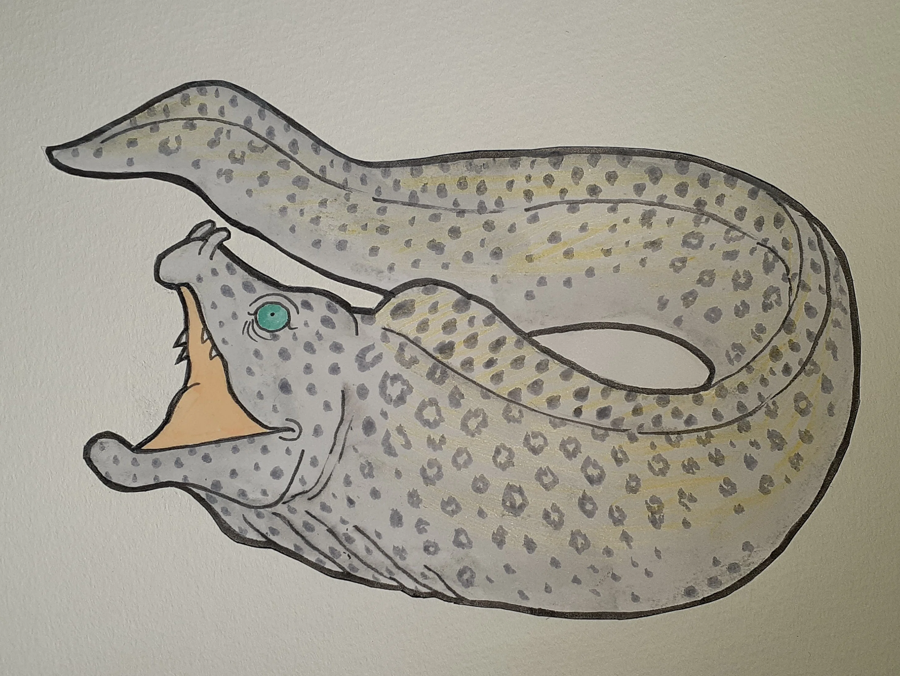 イラスト】魚七題｜TechpanCreate（テクパン・クリエイト）