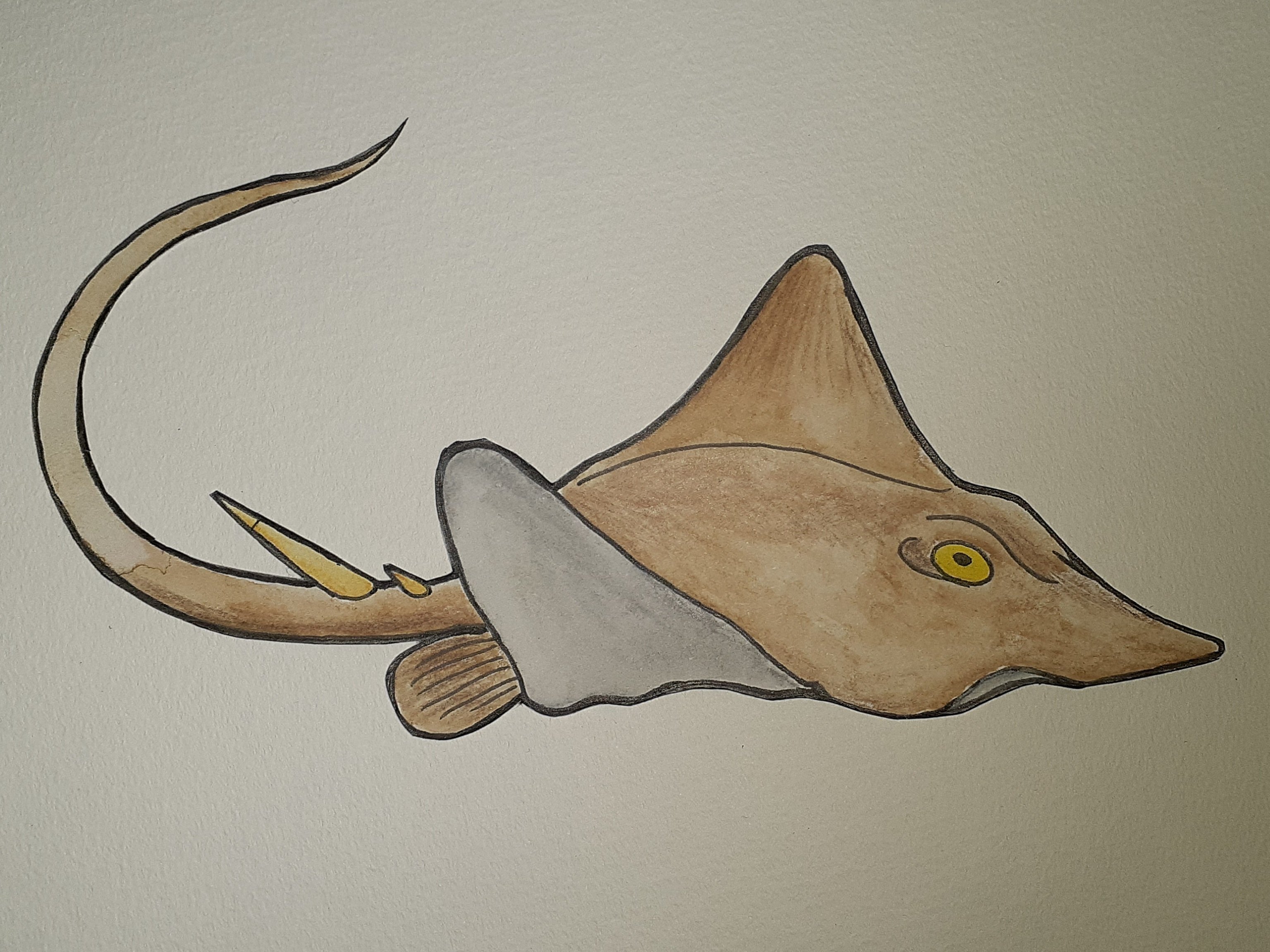 イラスト】魚七題｜TechpanCreate（テクパン・クリエイト）