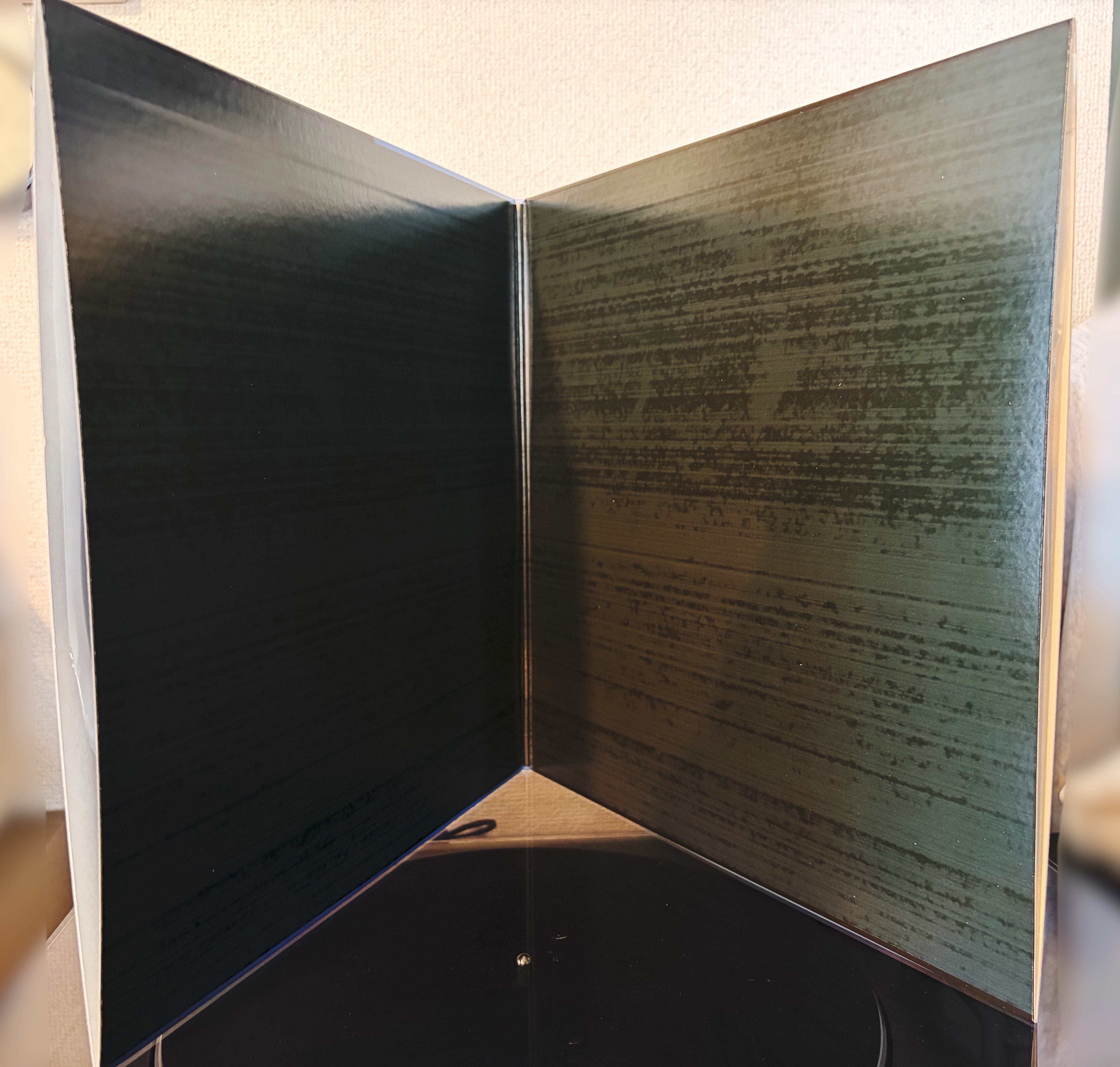 globe 初期4作品の2枚組LPアナログレコードが届いたので、開封してみた