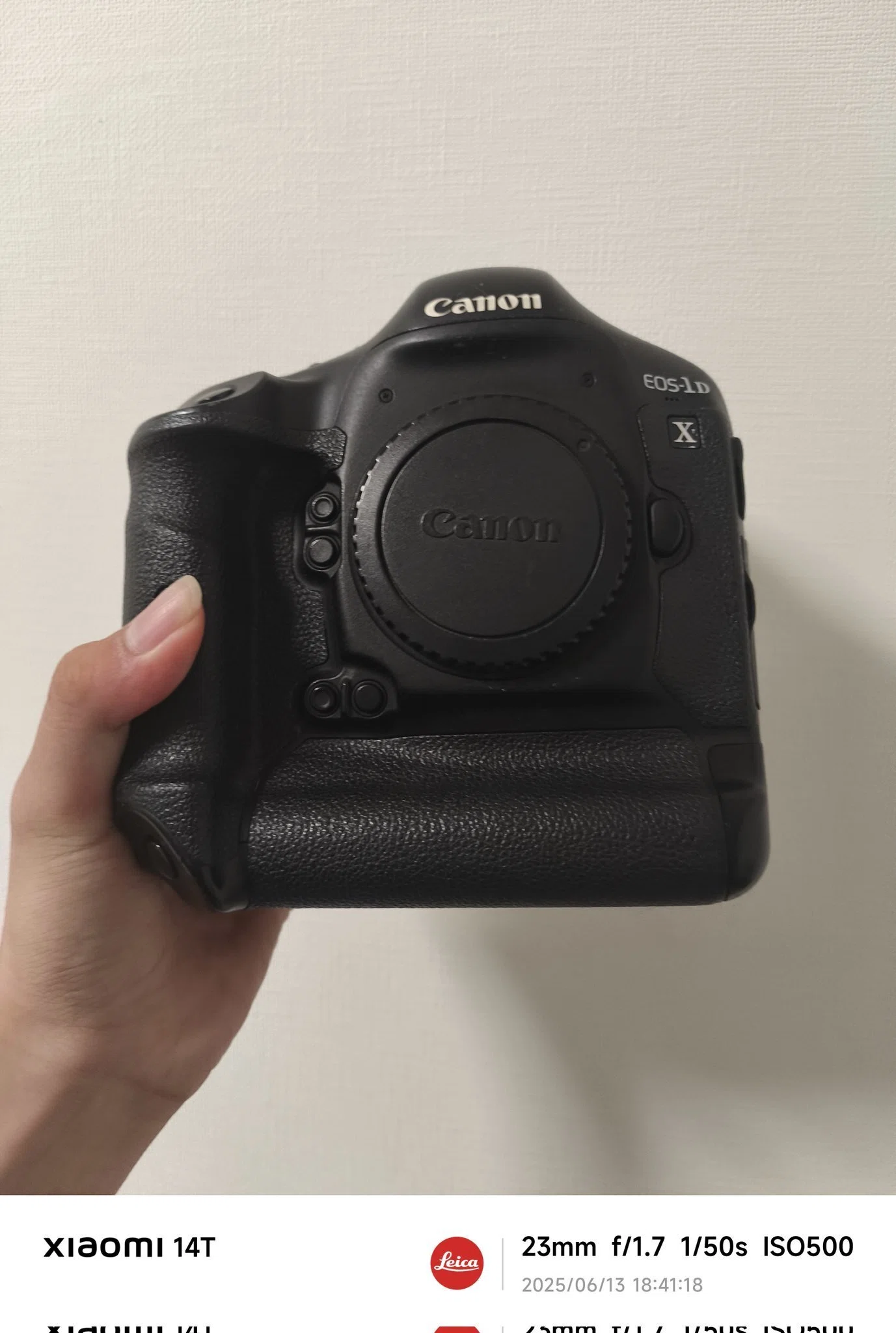 今更だけどEOS 1DXのレビューをしてみる｜ろい