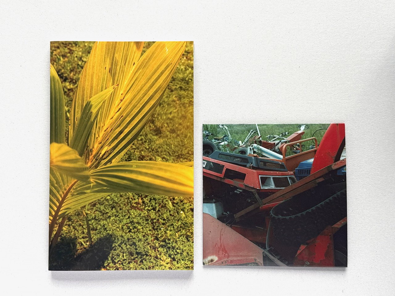 書評】佐内正史『Strong memory』（対照）｜パースペクティブ 雑誌