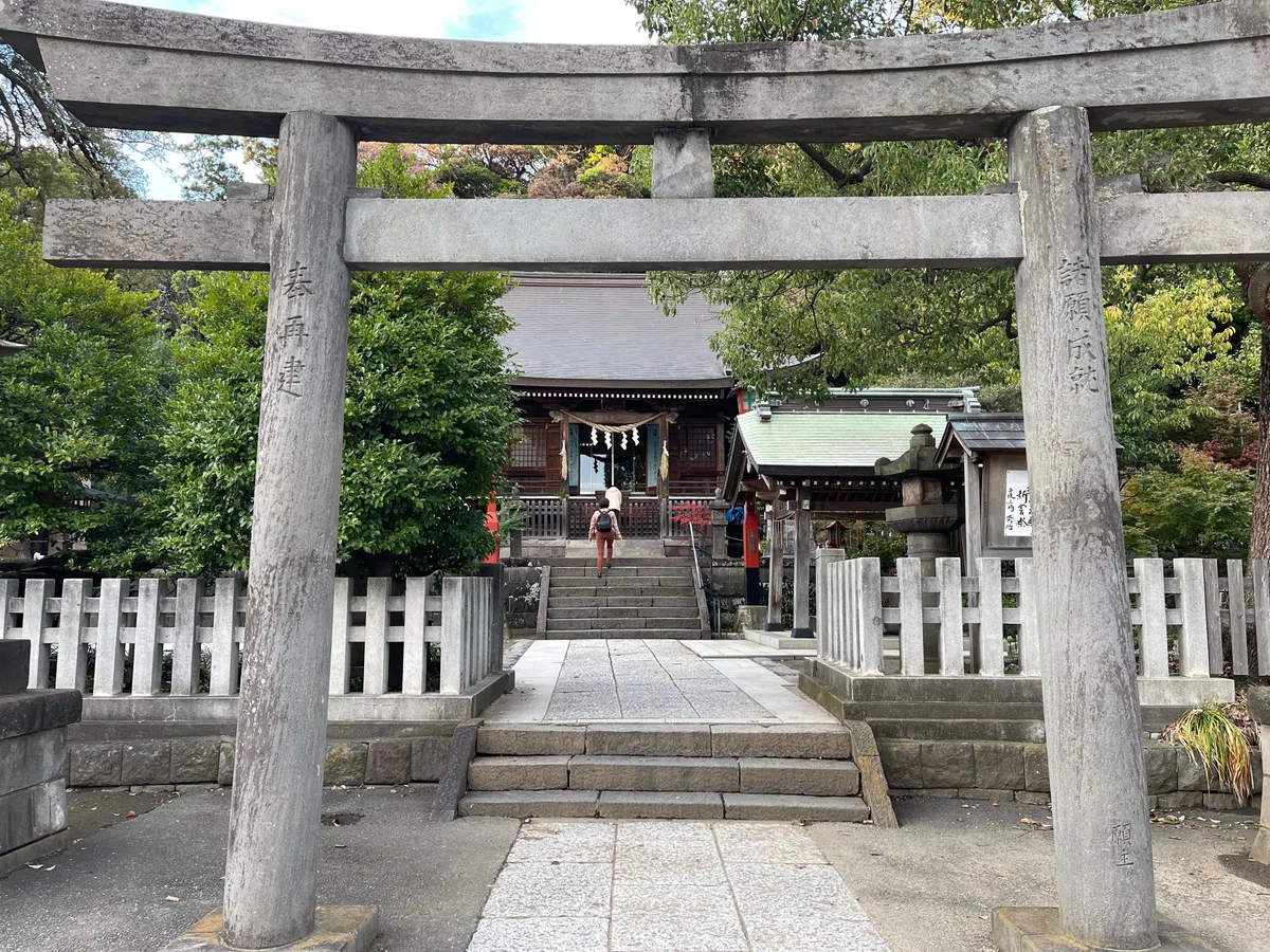 画像