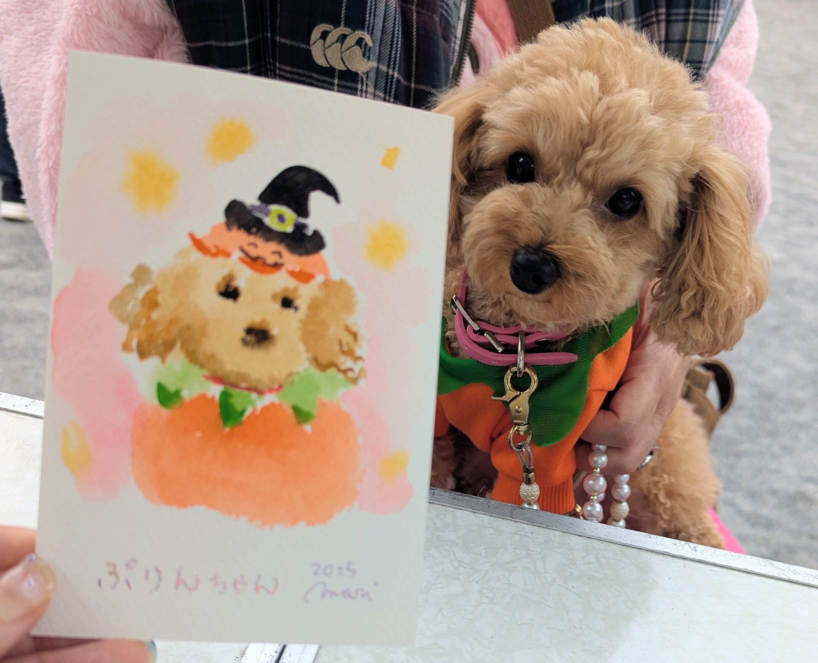 秋晴れの浅草で水彩画ポートレート描いてきました!｜Mari Aoki