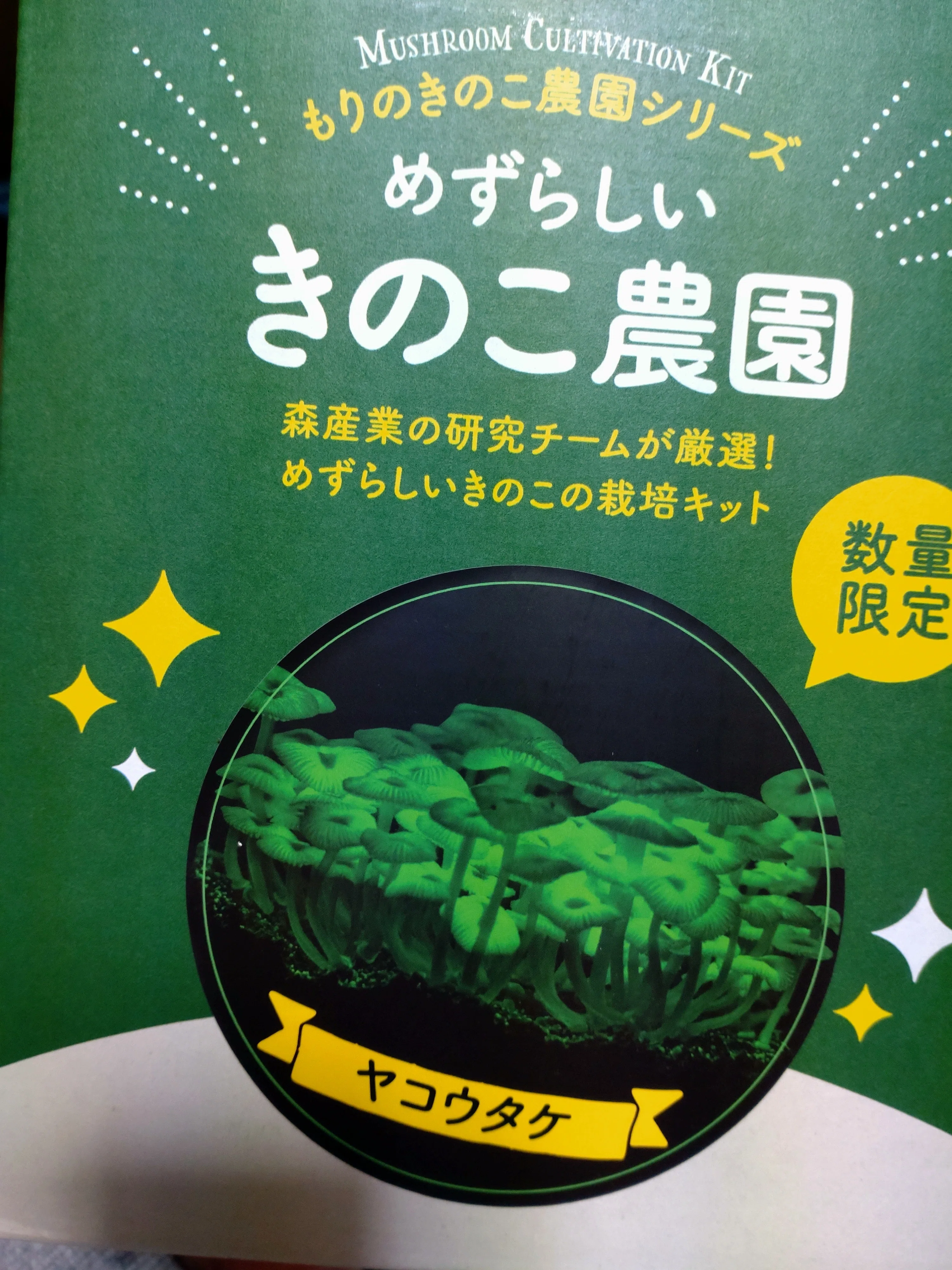 きのこ栽培キット｜はちた