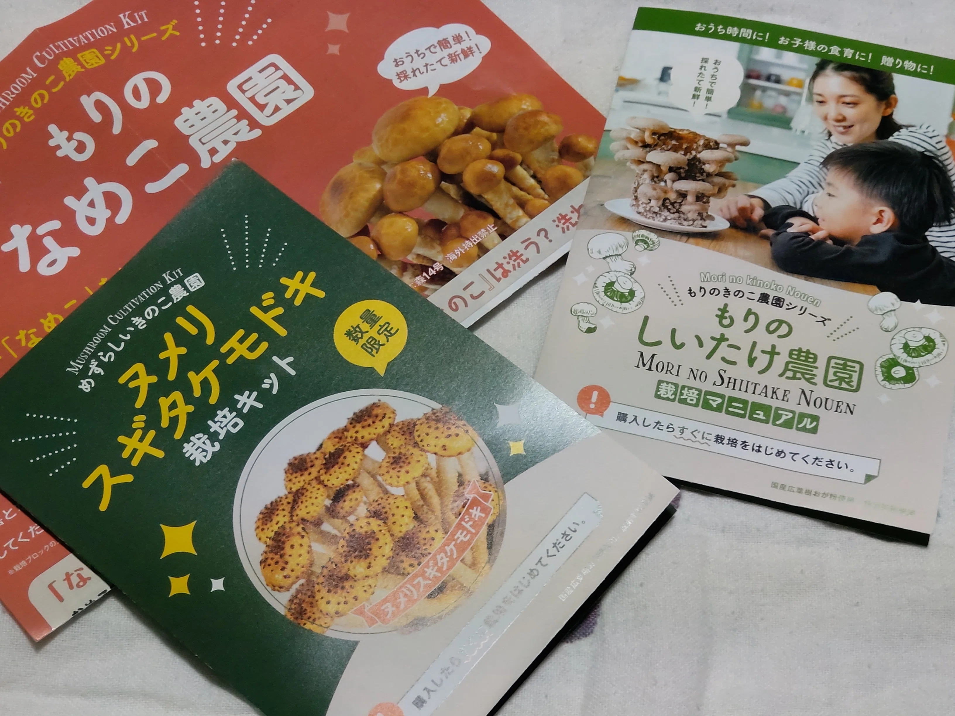 きのこ栽培キット｜はちた