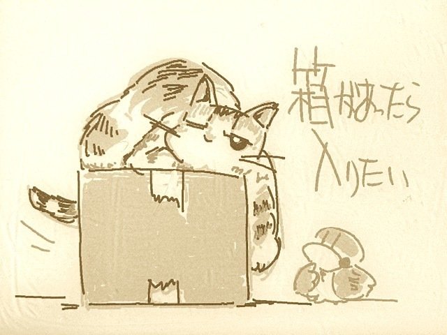 箱入り猫 鉛筆画 これが鉛筆で描かれた猫だなんて…衝撃の作品に「モノクロ写真みたい