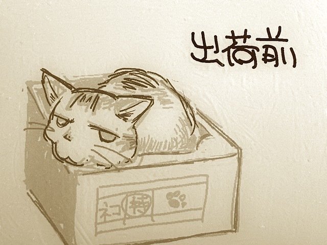 箱入り猫 鉛筆画 箱があったら入りたい｜やぢおぅ / Yazioh