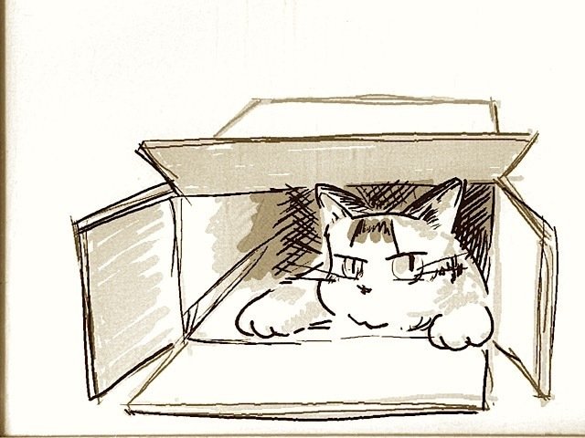 箱入り猫 鉛筆画 箱があったら入りたい｜やぢおぅ / Yazioh