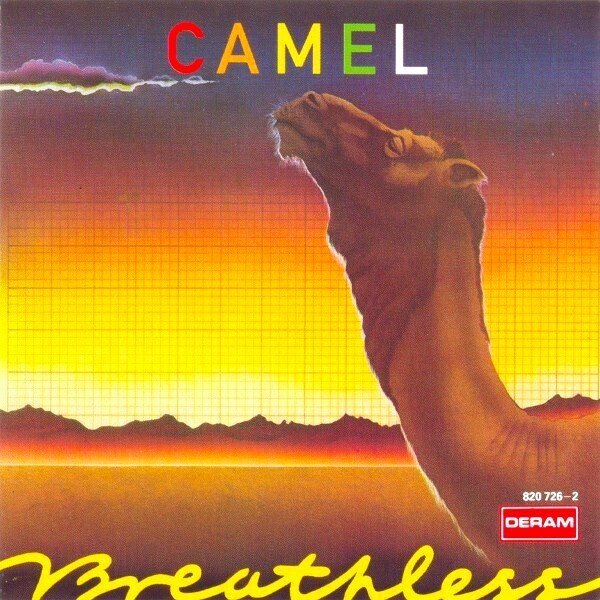 Camel」を知るためのおすすめ曲10選｜じゃにゅありー@中古CD収集家