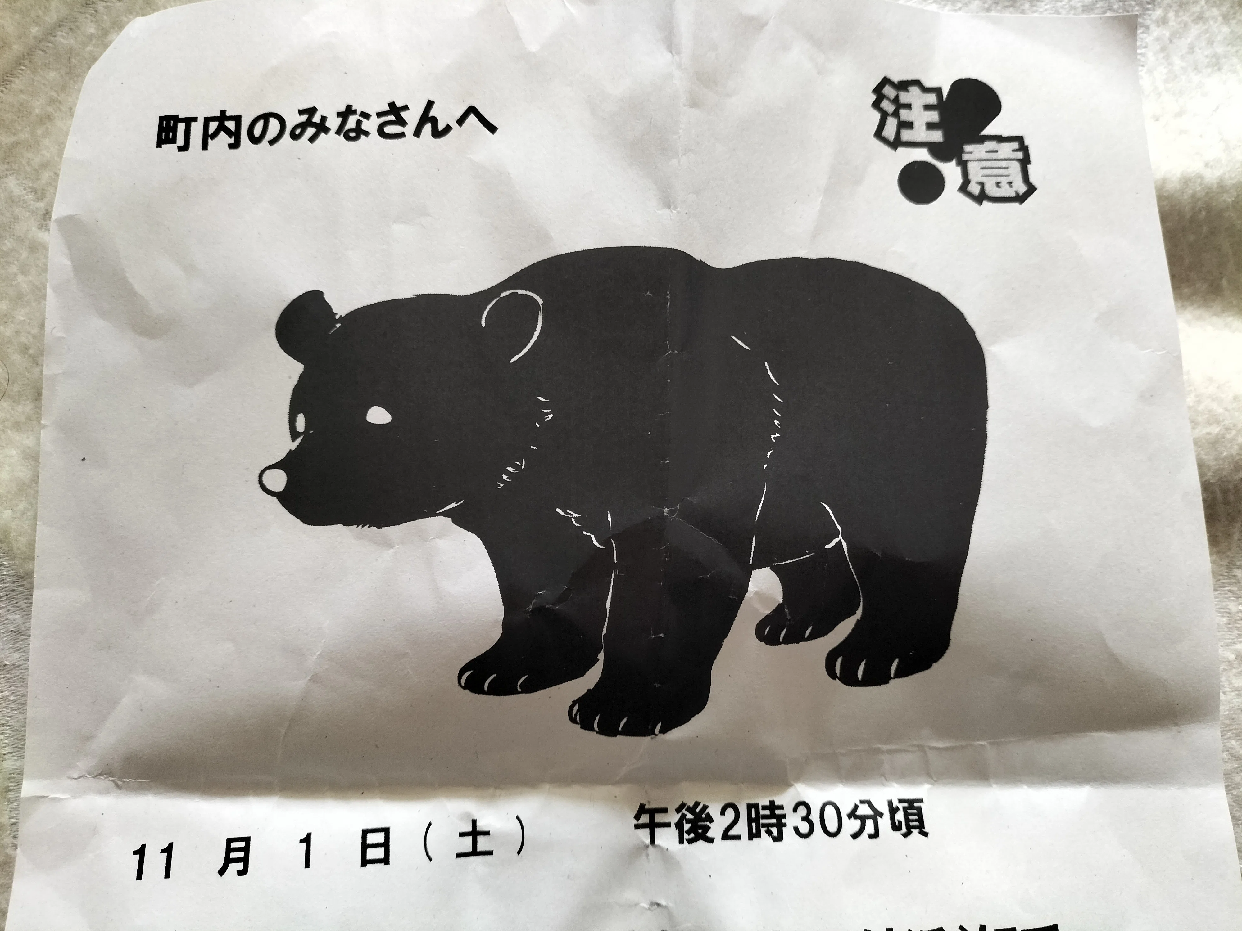 三連休と熊とお姫様｜摩天楼