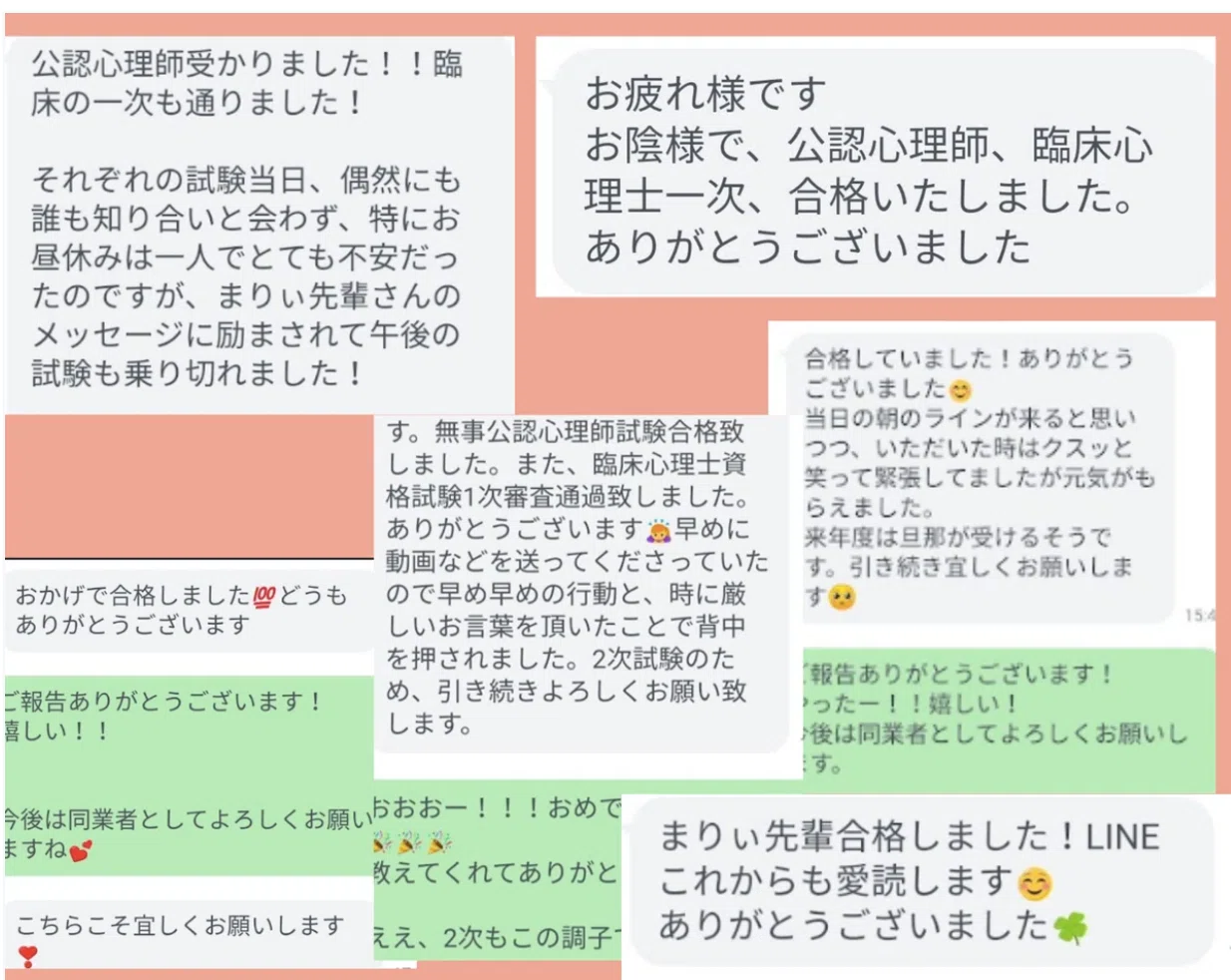 臨床・公認】参考書と過去問のみ！心理士/師試験試験必勝