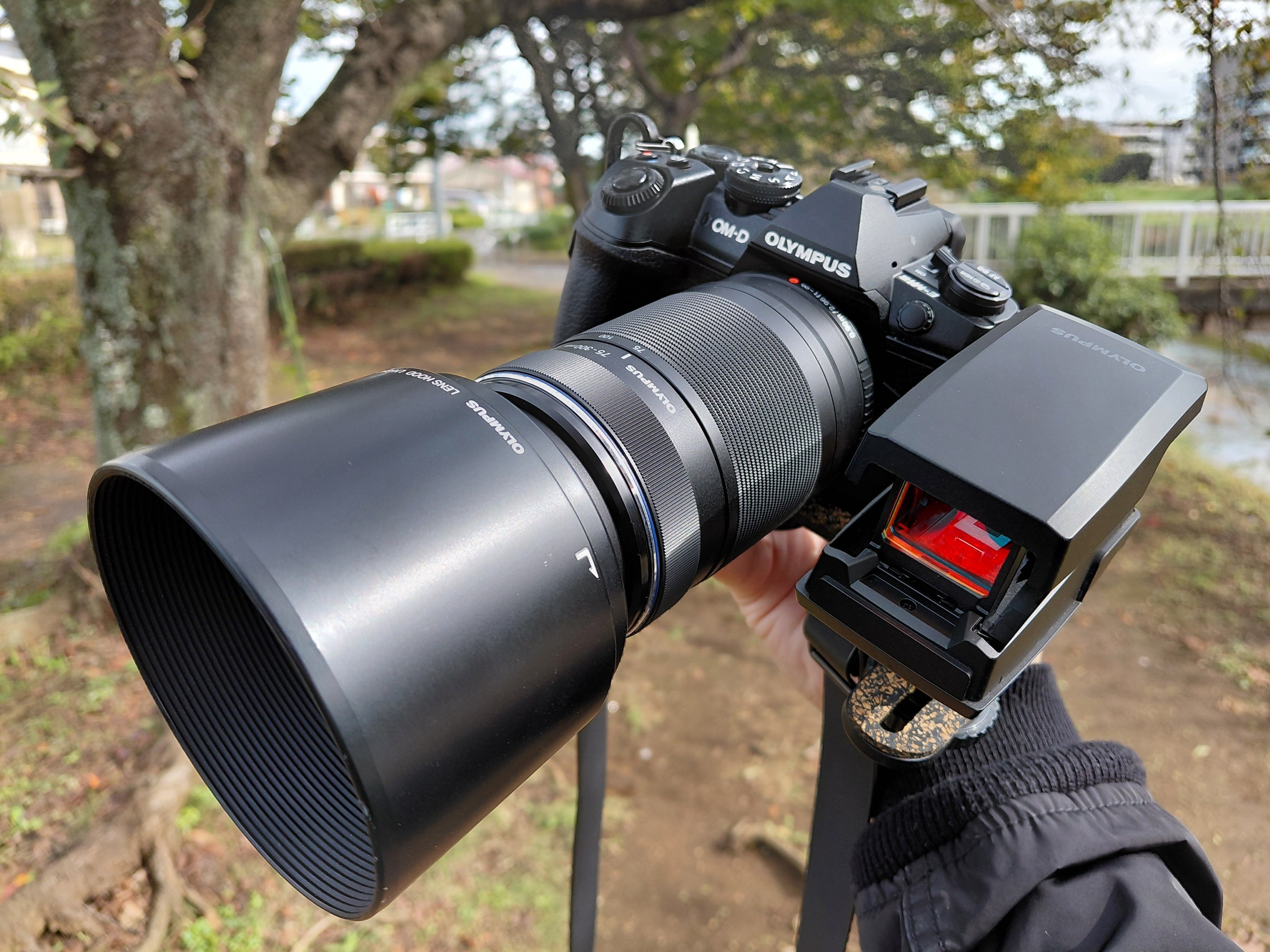 野鳥の季節になりました｜宮前すごい