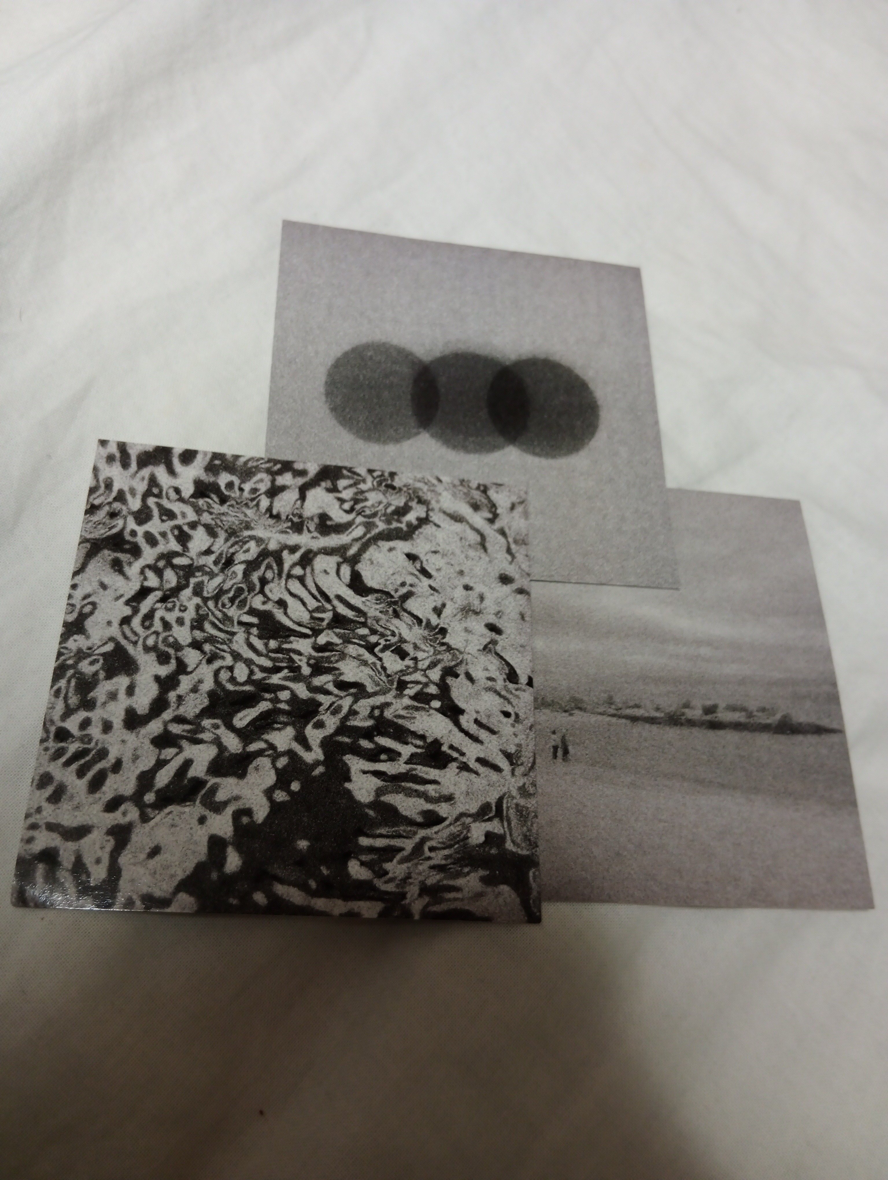 イソ個展『shadow is light; light is shadow』（吉祥寺・between