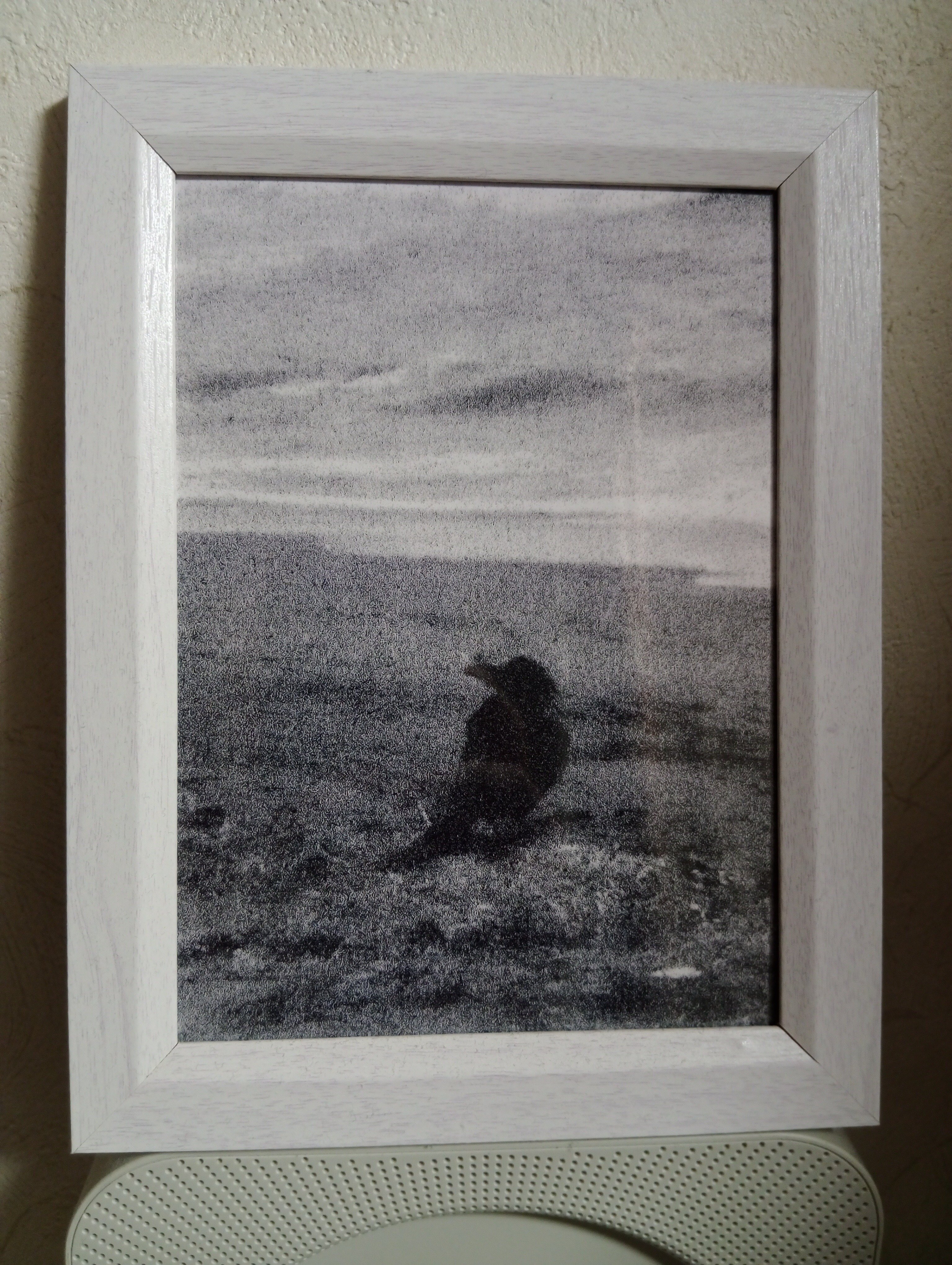 イソ個展『shadow is light; light is shadow』（吉祥寺・between