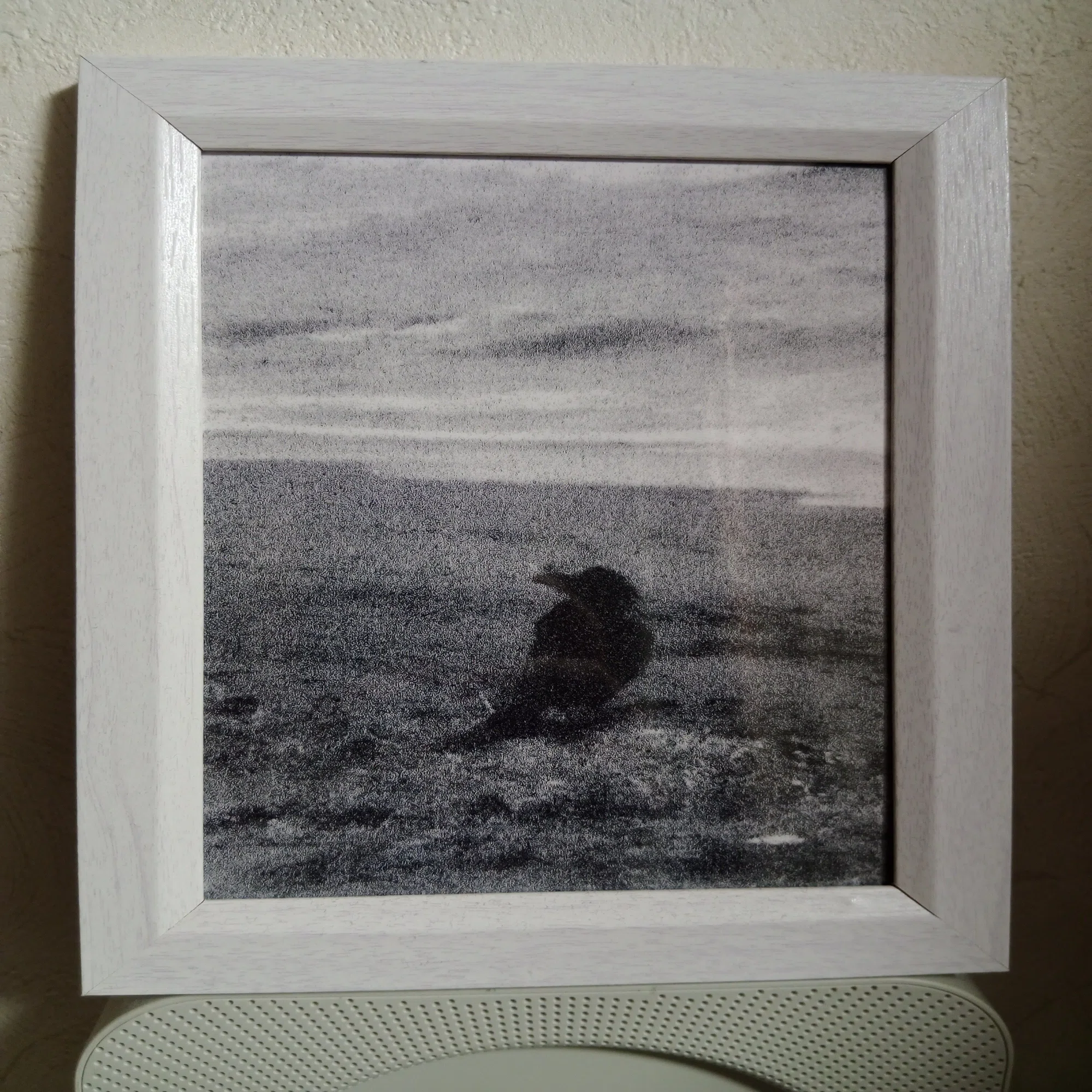 イソ個展『shadow is light; light is shadow』（吉祥寺・between 