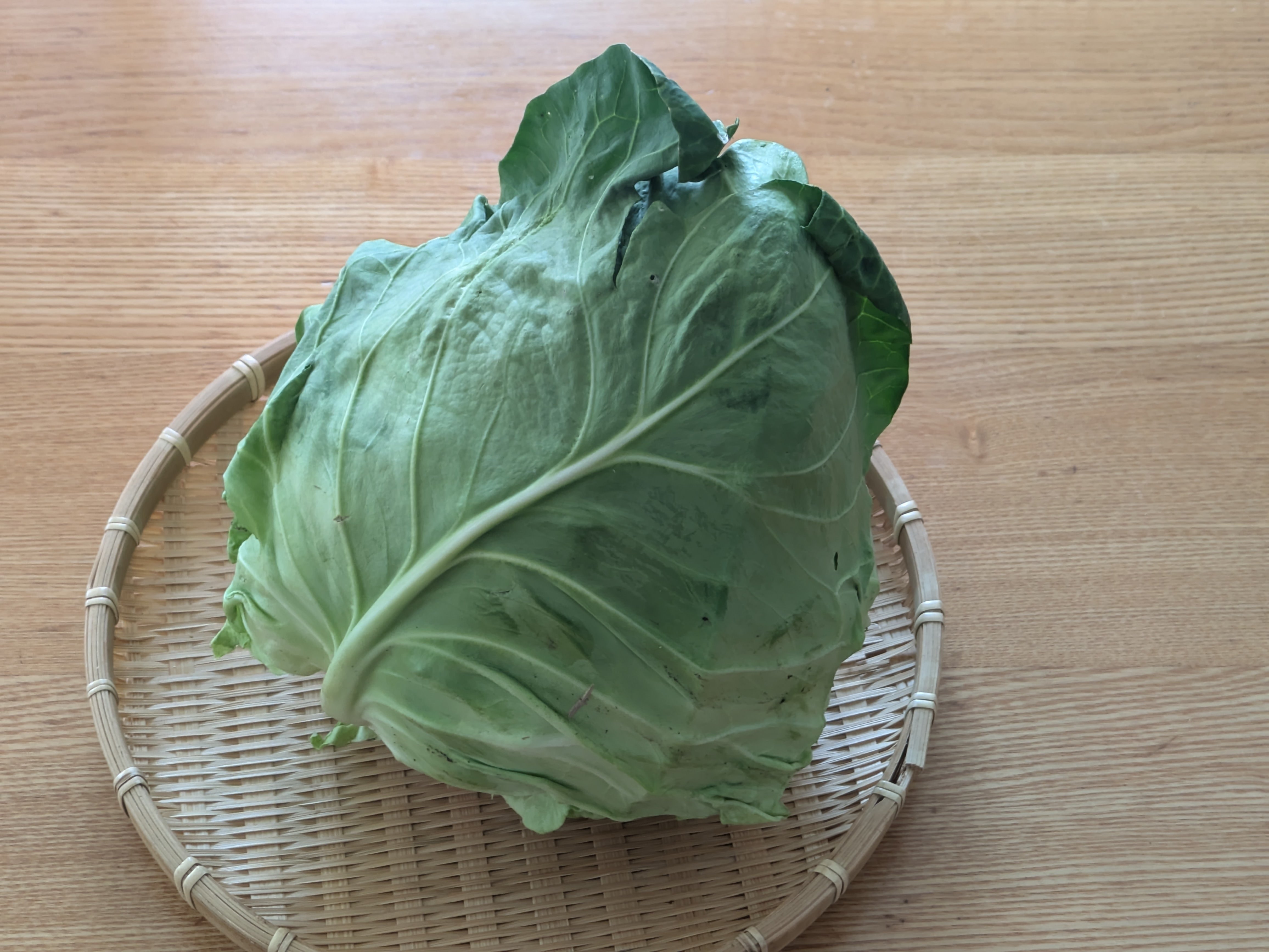 三角キャベツの浅漬け作りました｜noboru