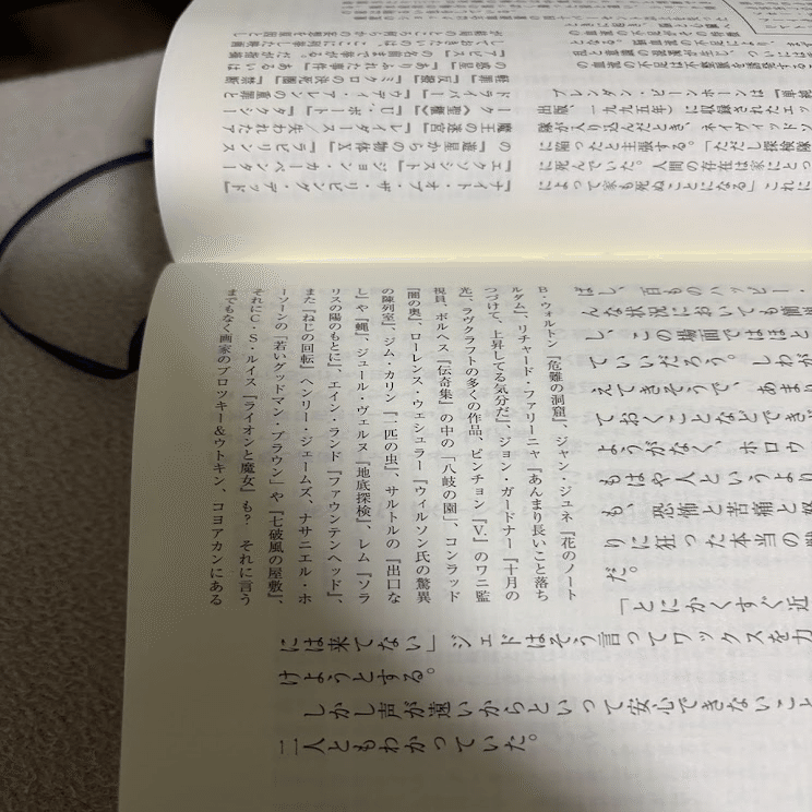 ダニエレブスキー『紙葉の家』（2000）感想｜kqck