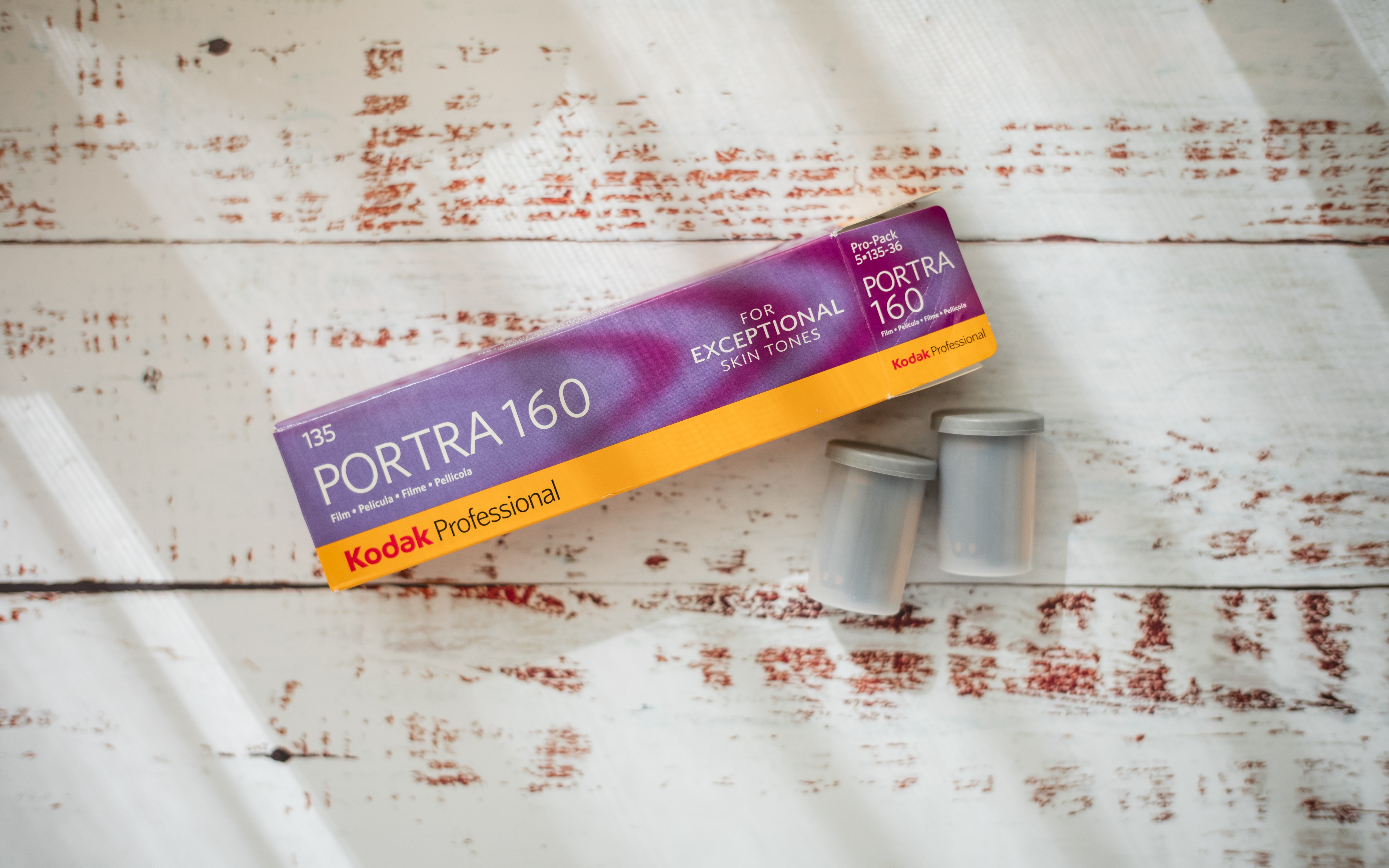 フィルムたちの現在地〜2025年11月〜｜KAZUKI