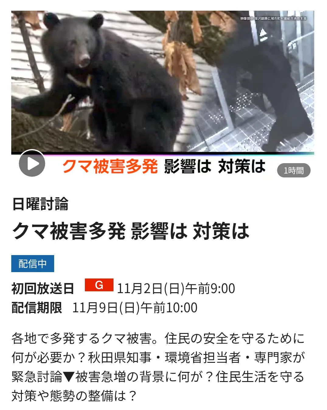 ツキノワグマとどう向き合う？〜これからの個体数管理について〜｜織山英行