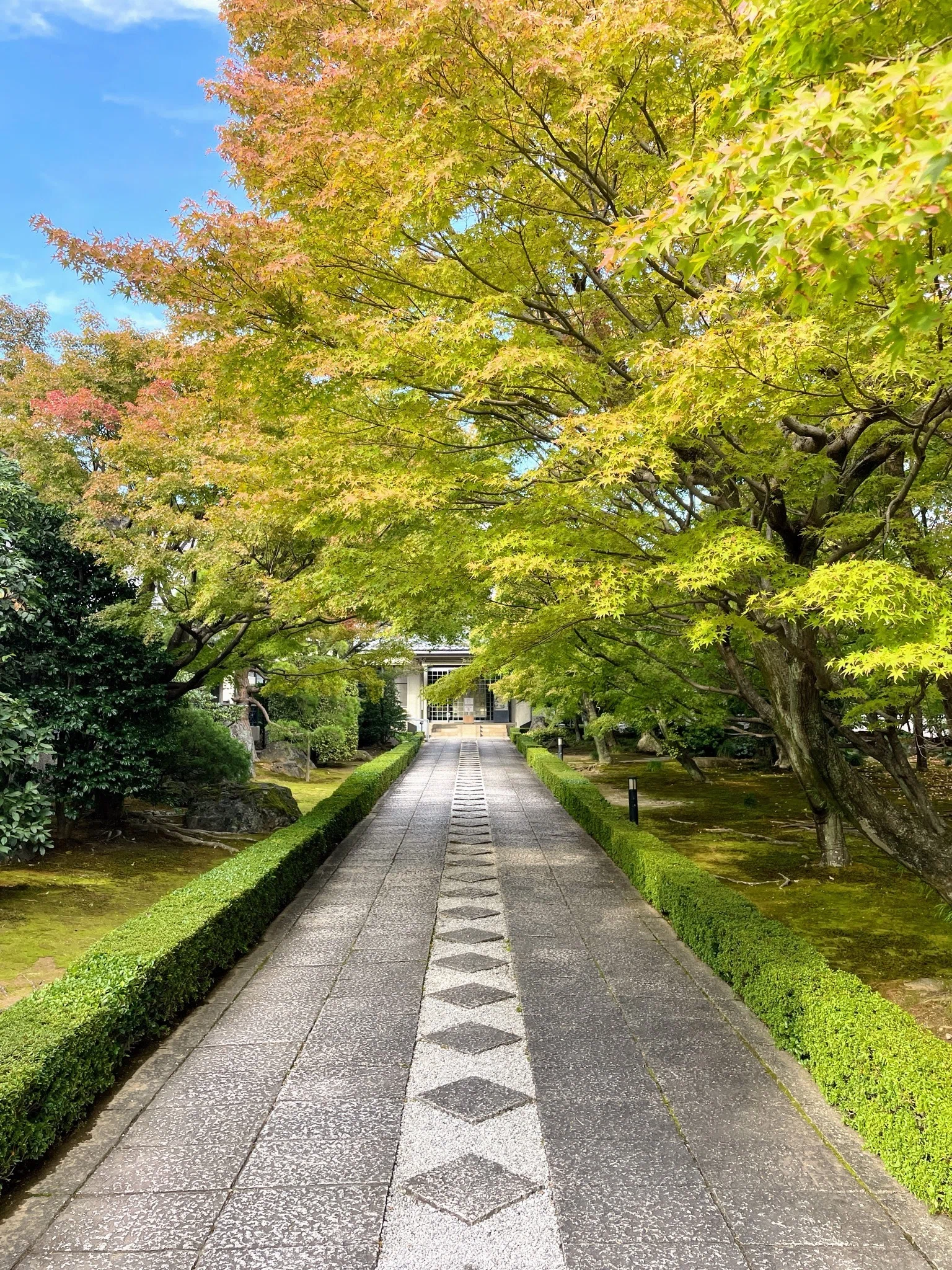 展覧会レポート】 屏風 黄金の調度〈Ⅰ期〉 ／相国寺承天閣美術館