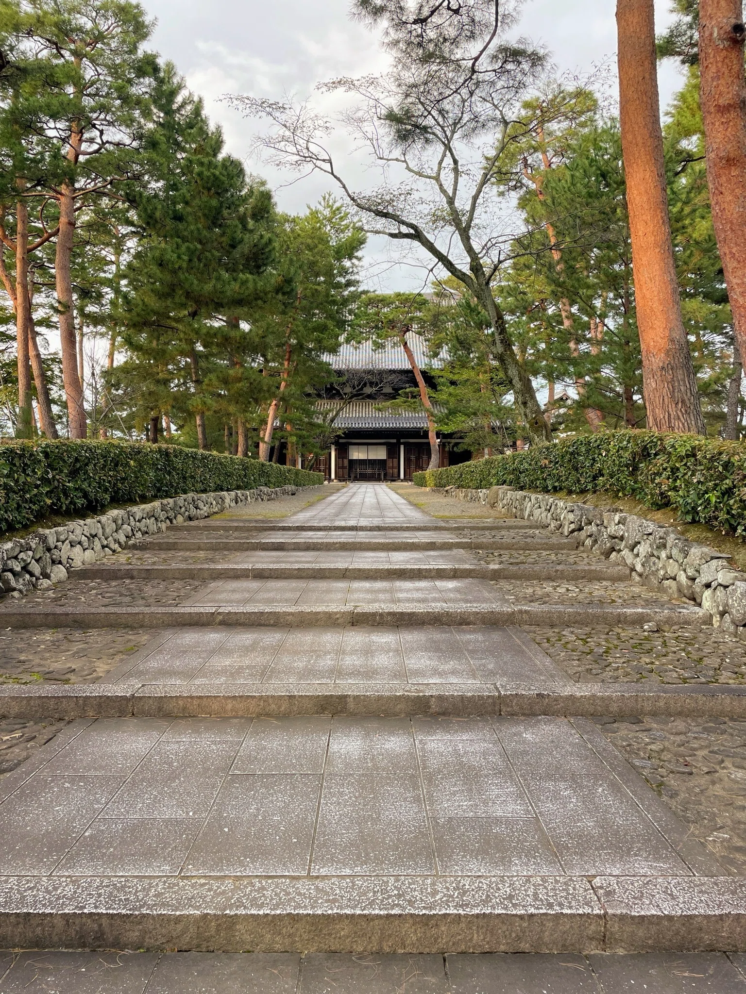 屏風 金閣寺 アヤメの二枚 企画展「屏風 黄金の調度」 | 相国寺承天閣美術館 | 美術館・展覧会