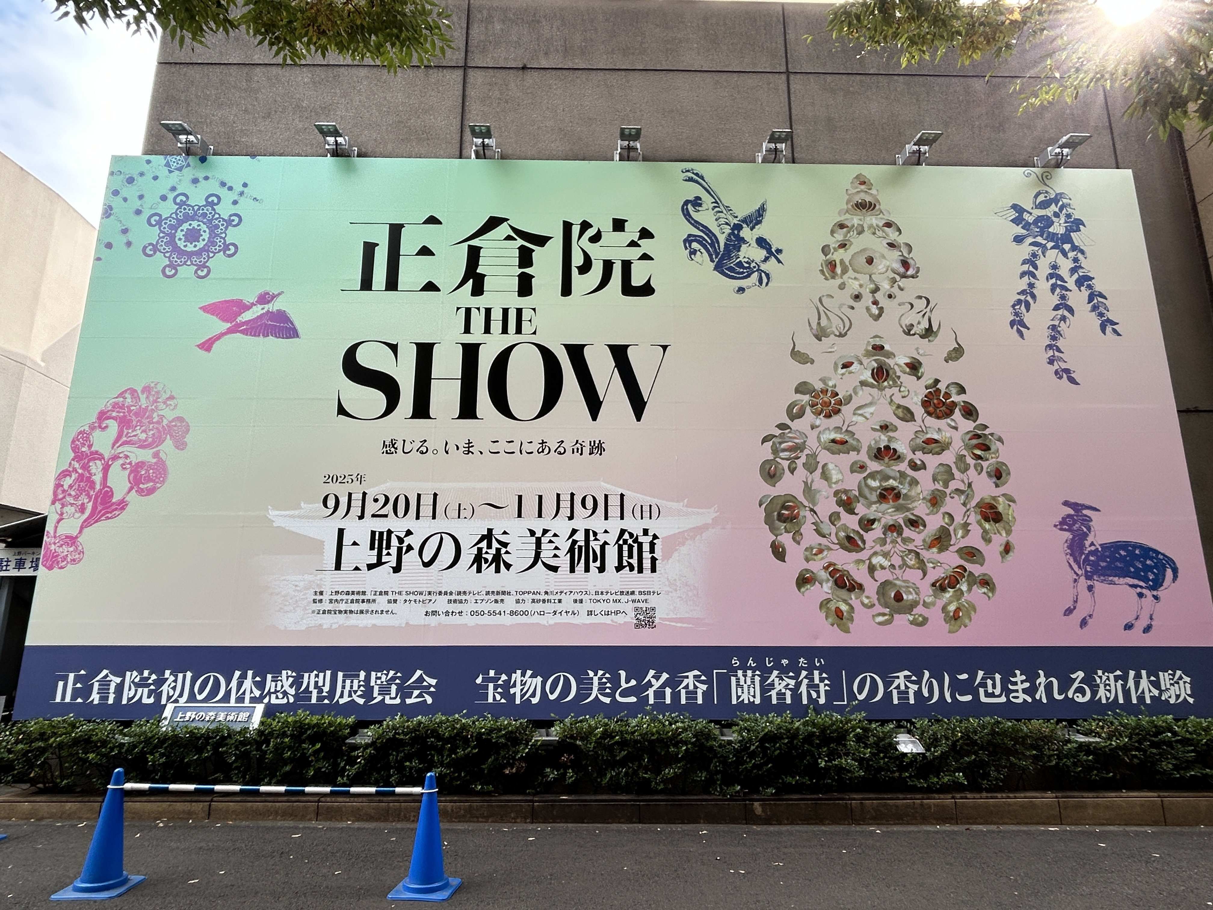 蘭奢待、思ってたんと違う、、、、、｜かんざわみづき＠小江戸川越