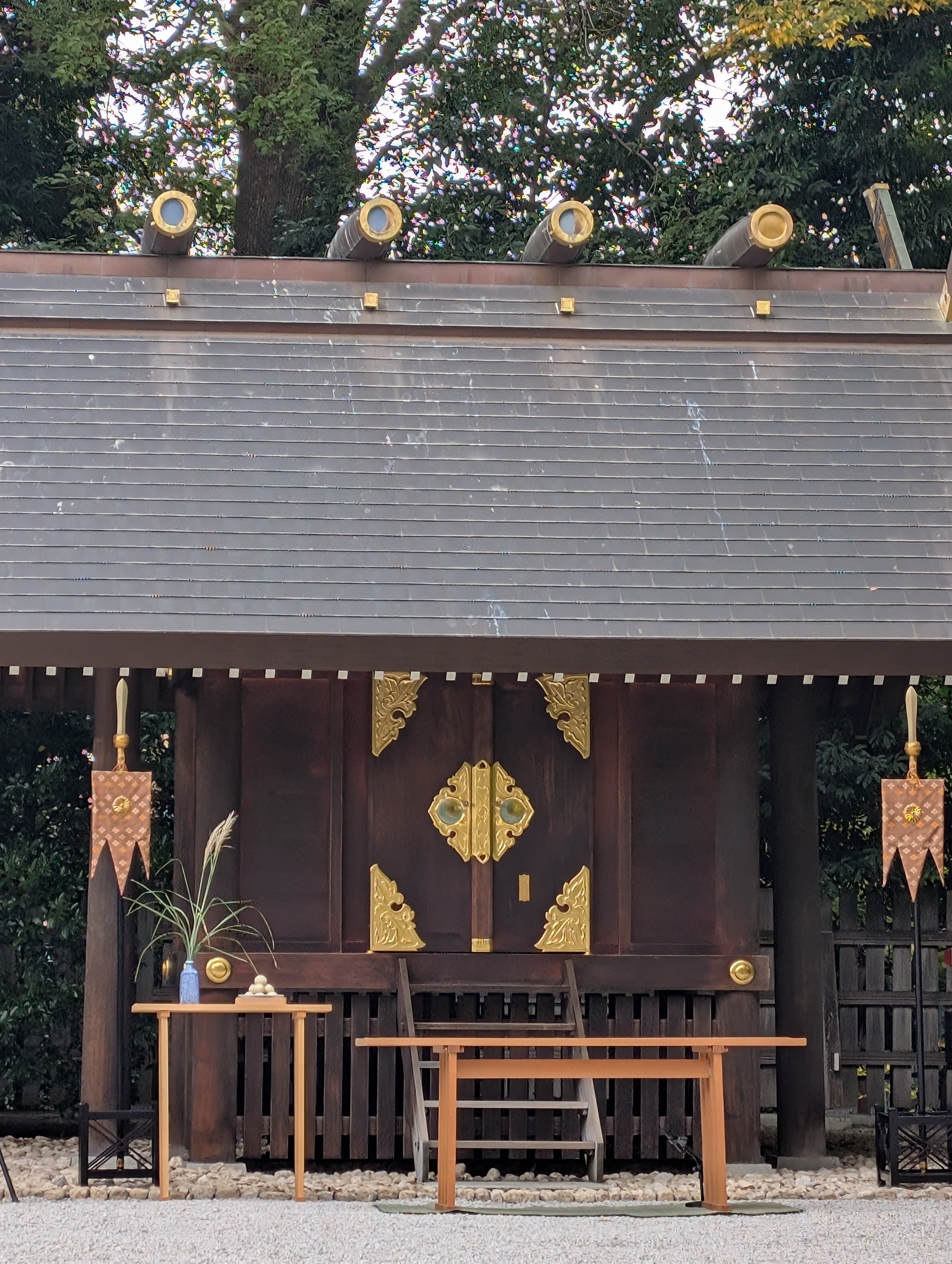 阿佐ヶ谷神明宮 観月祭に行ってきました🌔｜Dom