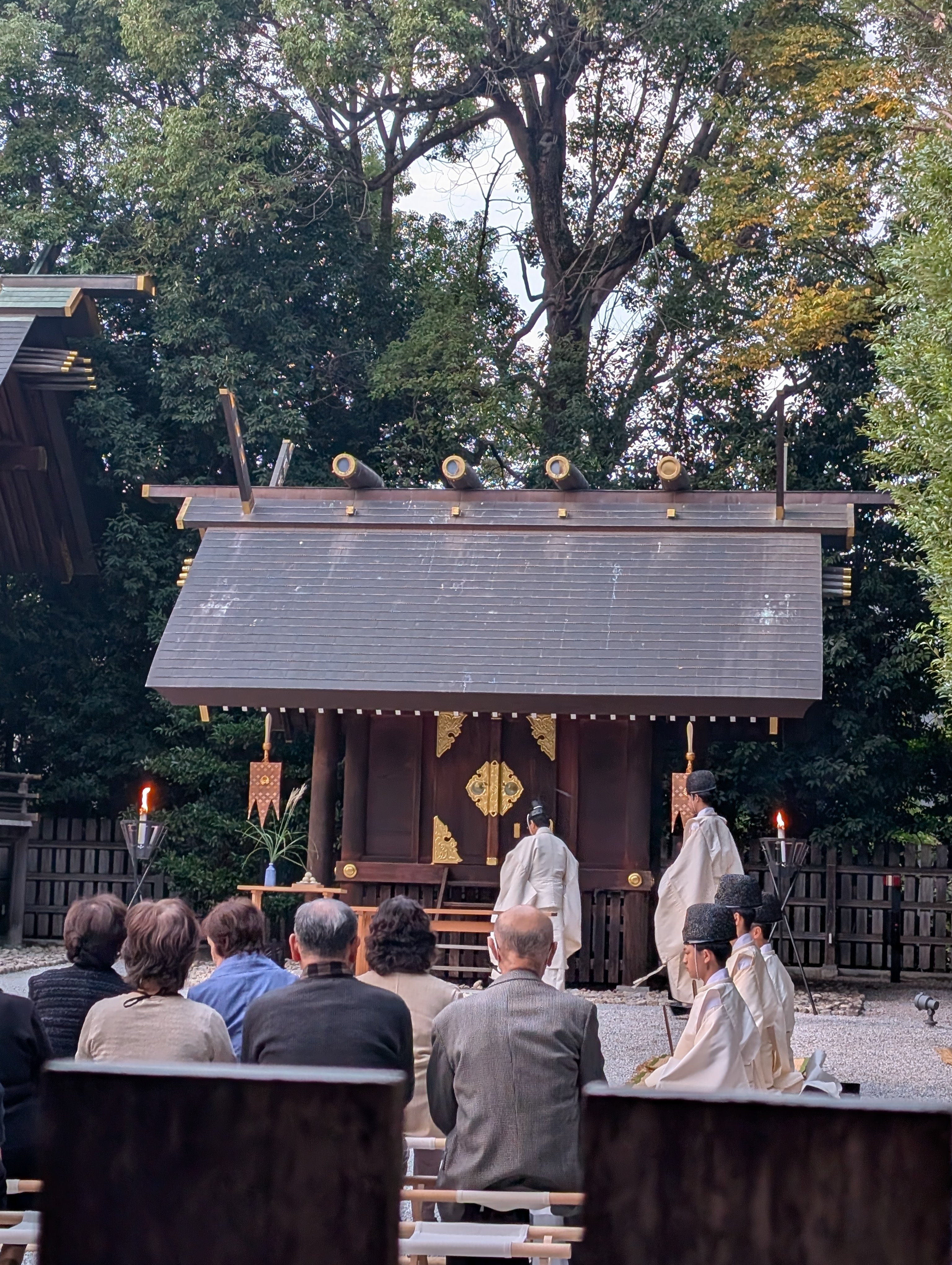 阿佐ヶ谷神明宮 観月祭に行ってきました🌔｜Dom