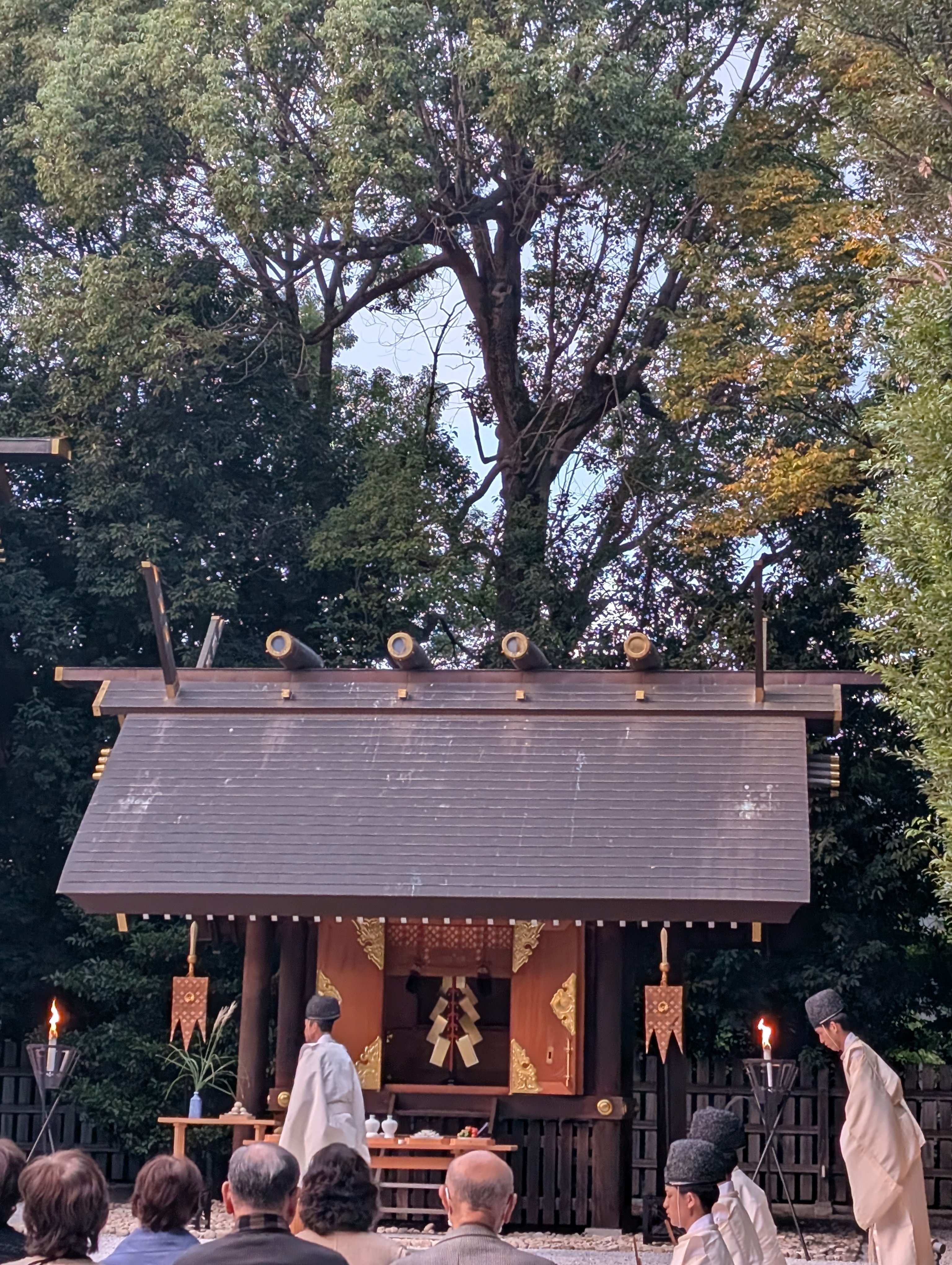 阿佐ヶ谷神明宮 観月祭に行ってきました🌔｜Dom
