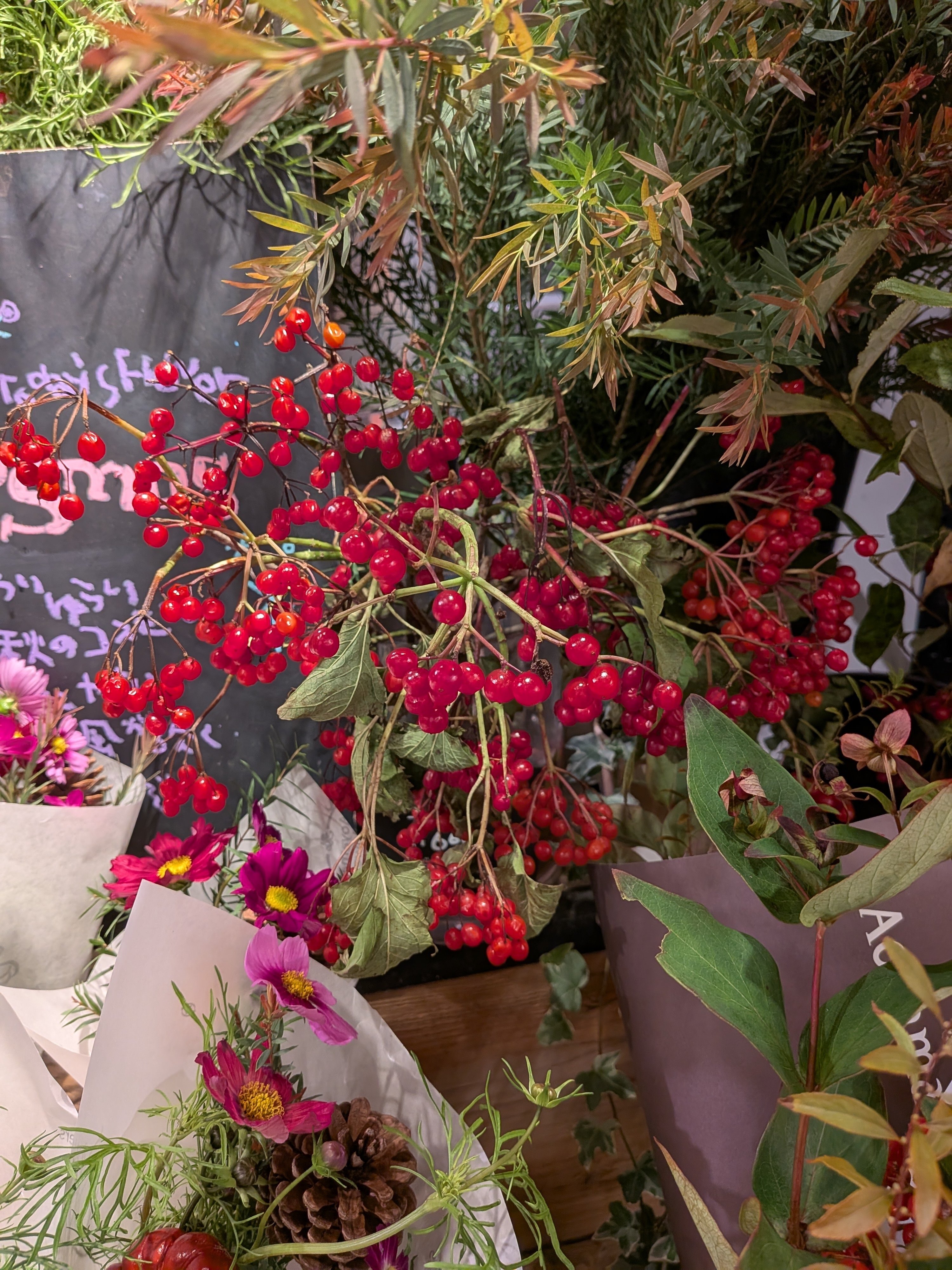 黄色の曼珠沙華〜｜かお