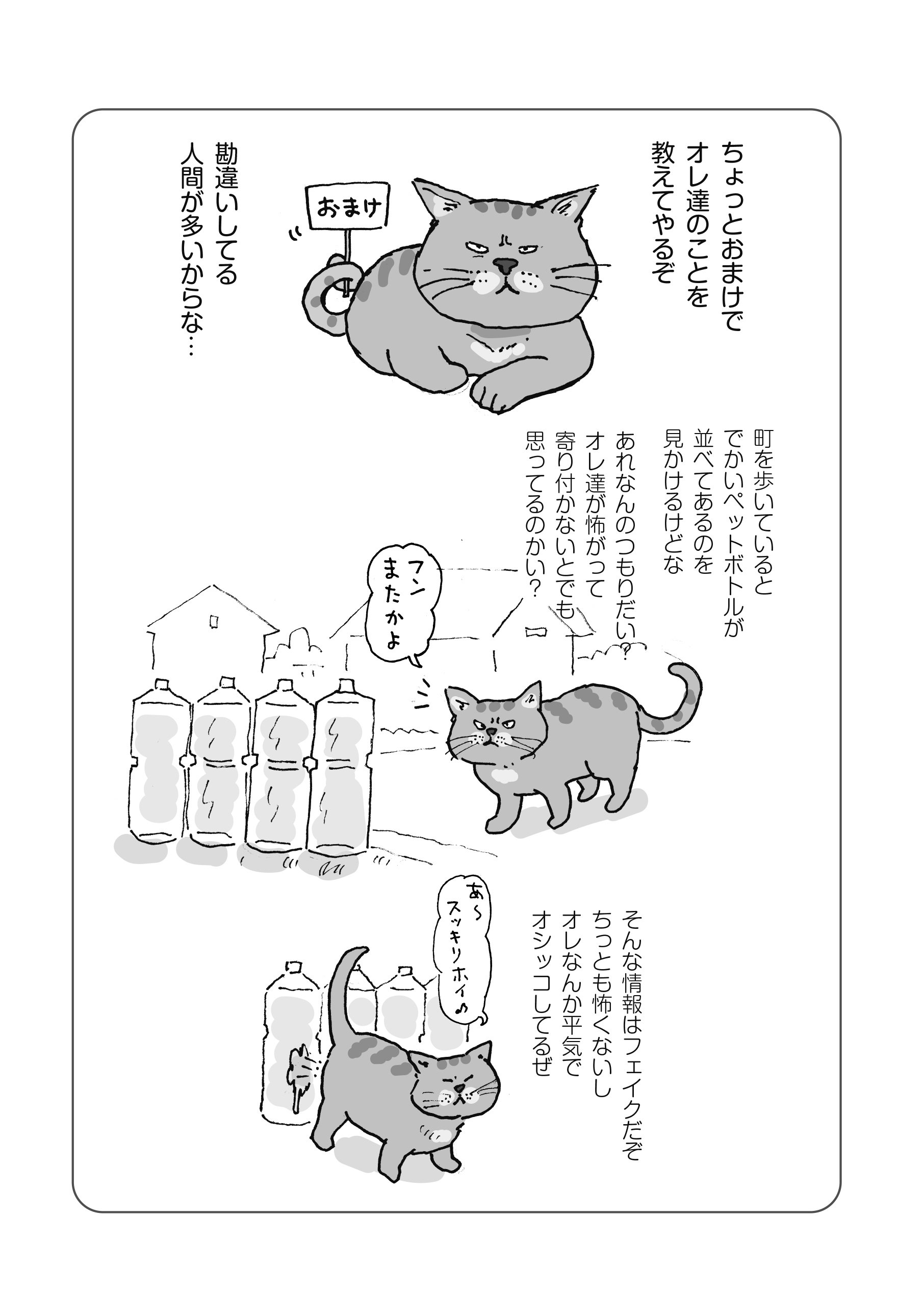 猫漫画＞ばってんしょんなか――猫目線で綴る93歳妙ちゃんの恋の物語