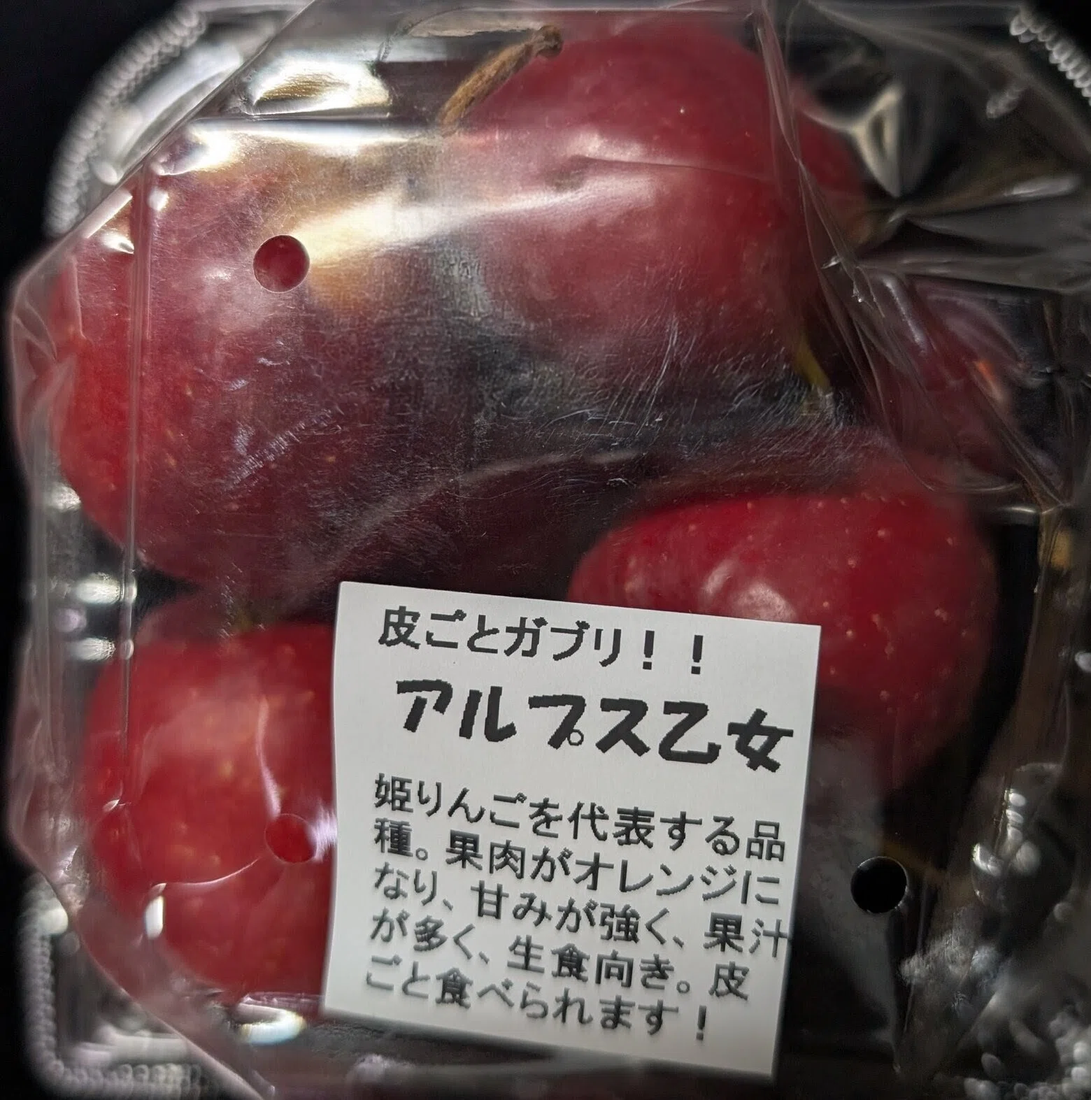 飯田へ行くだ ④長野の果物と飯田城温泉｜少佐のノオト