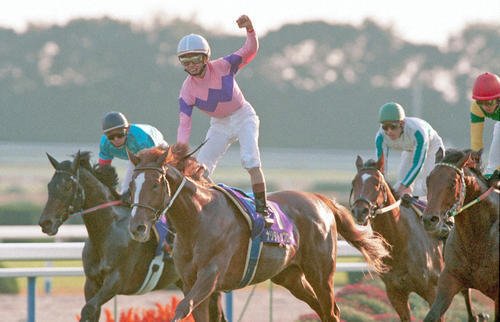 名馬列伝】ナリタトップロード ‐みんなに愛された菊花賞馬‐｜ゆうき