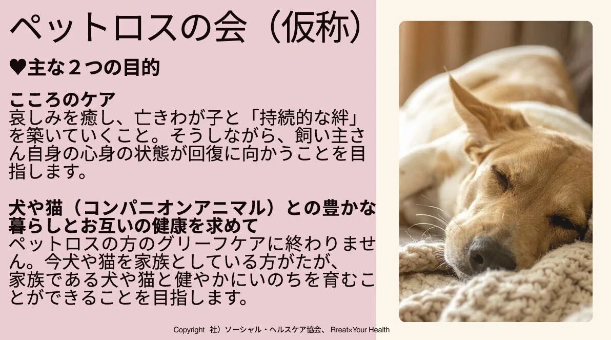活動歴および当時の関連ビジュアル記録
