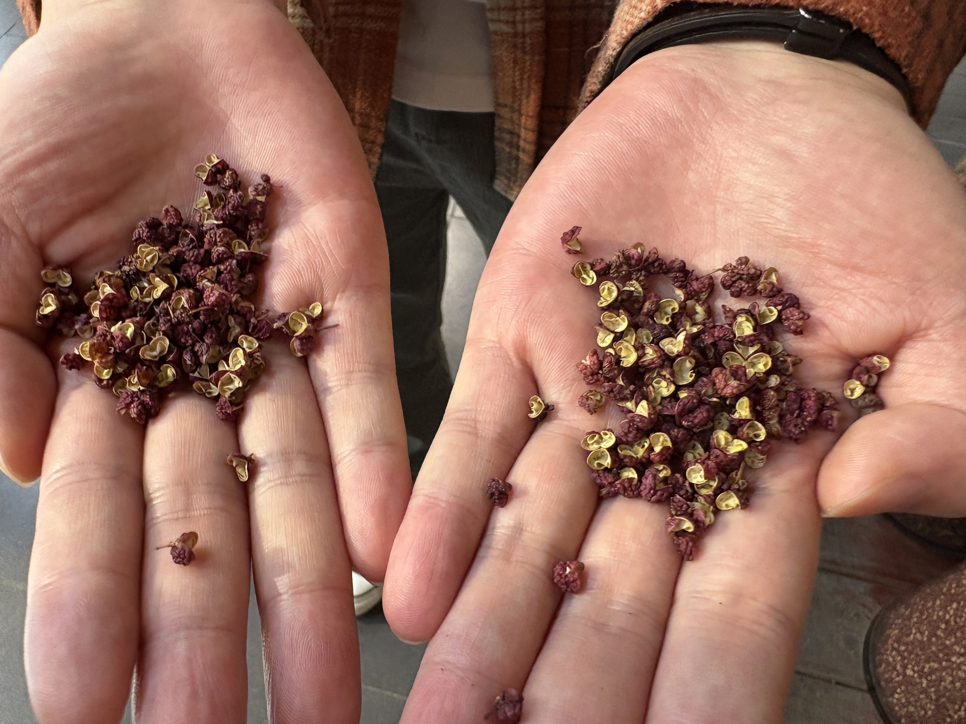 花椒も色々！未知の香辛料大陸・中国へ｜樋口実沙