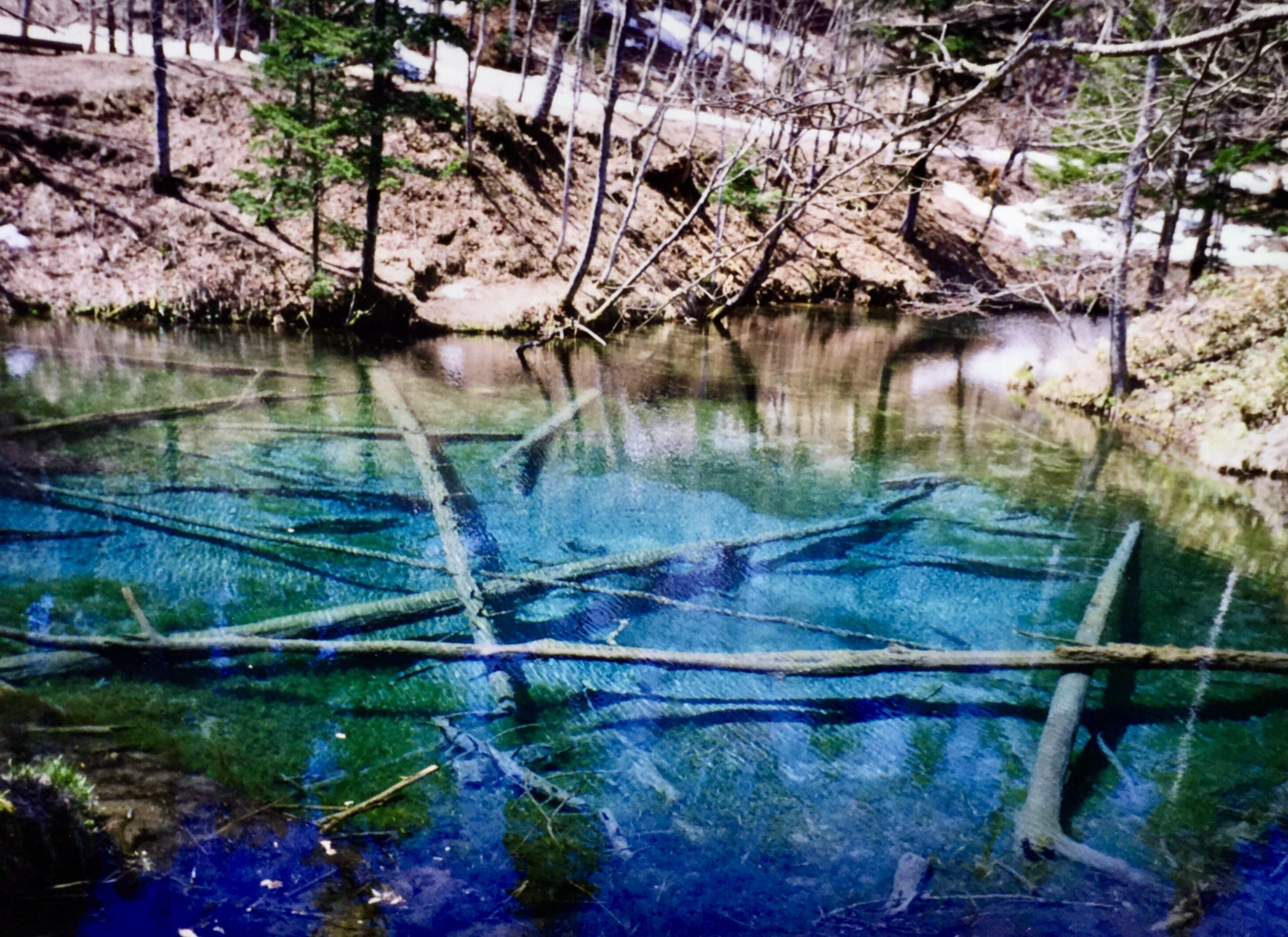 視線入力のフィルム一眼レフ Canon EOS55｜ema_photo