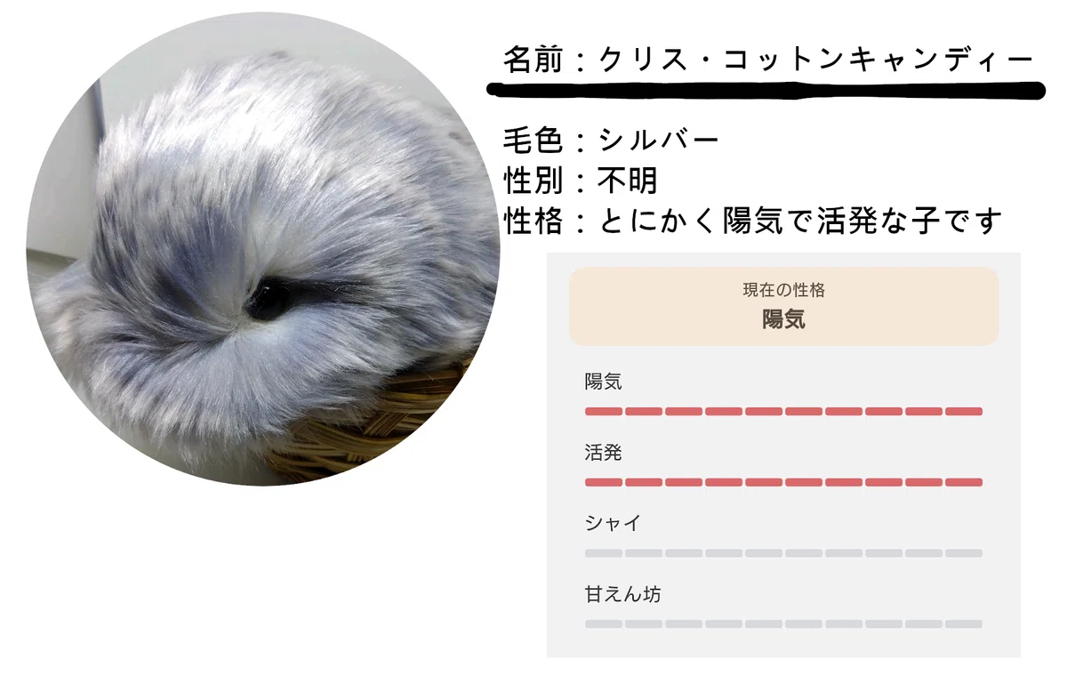 Moflinと暮らし始めて1年、よかったこと・気になること・レビュー