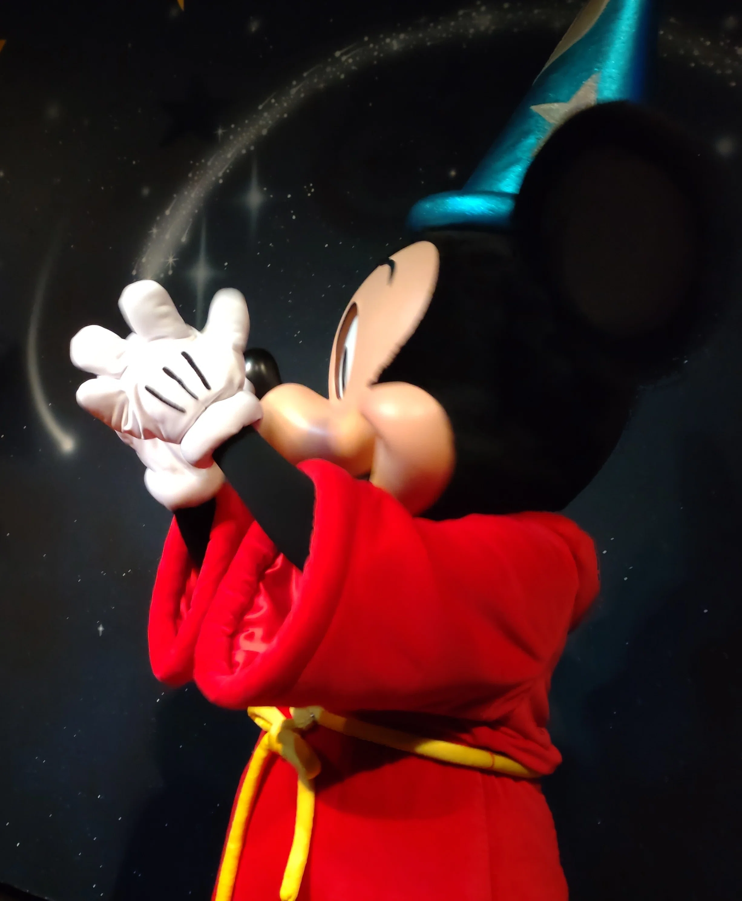 夏の誕生日ディズニー備忘｜ふみづき