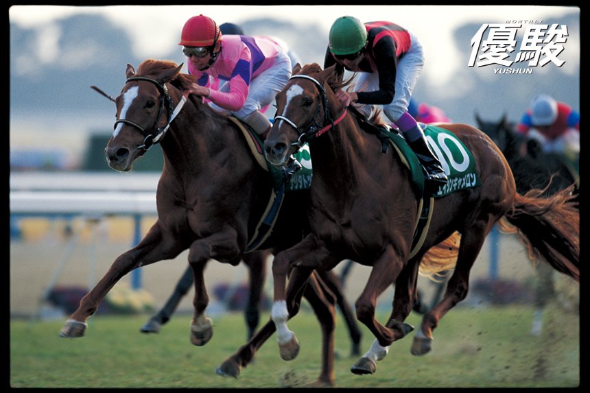 名馬列伝】ナリタトップロード ‐みんなに愛された菊花賞馬‐｜ゆうき