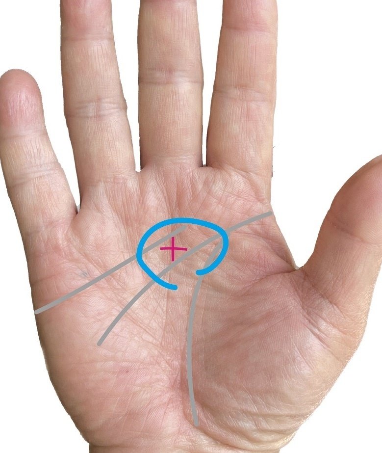 神秘十字線＝守護の証｜【スピリチュアル x 手相】開運法 フォロバ100