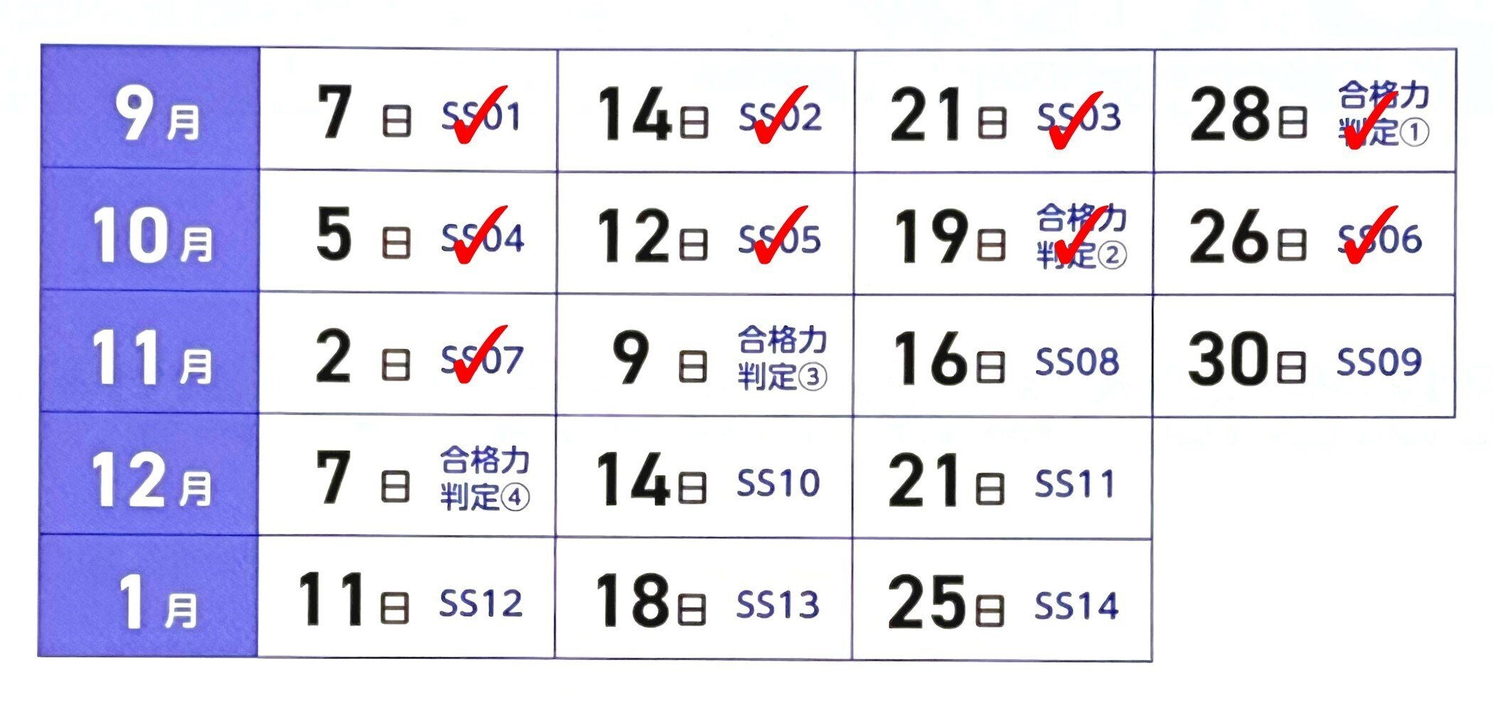 中学受験】入試まであと3か月。【小6サピックスα1・直前期の学習日記