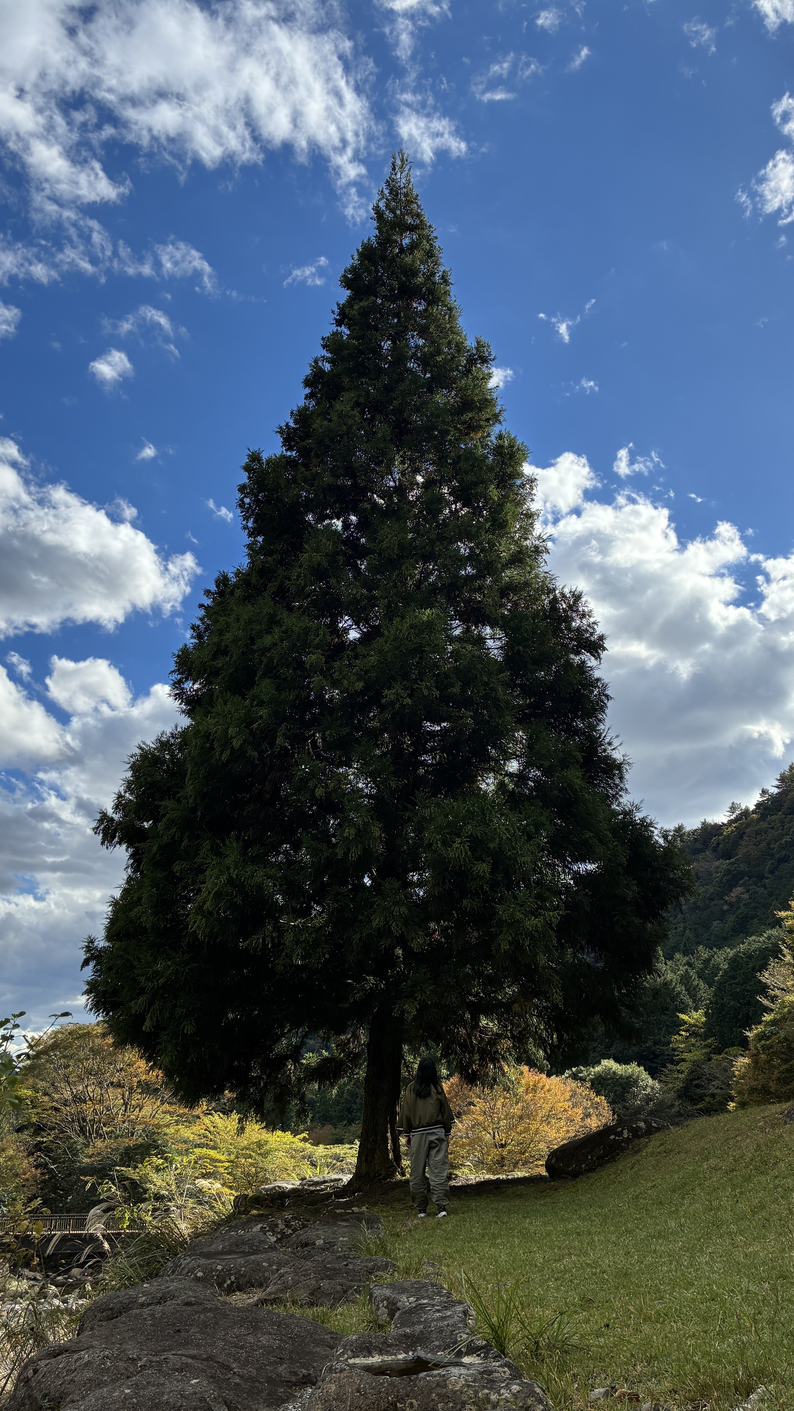 地球と心が呼応する瞬間 ～ウェルビーイングを感じるDeep Time Walkの