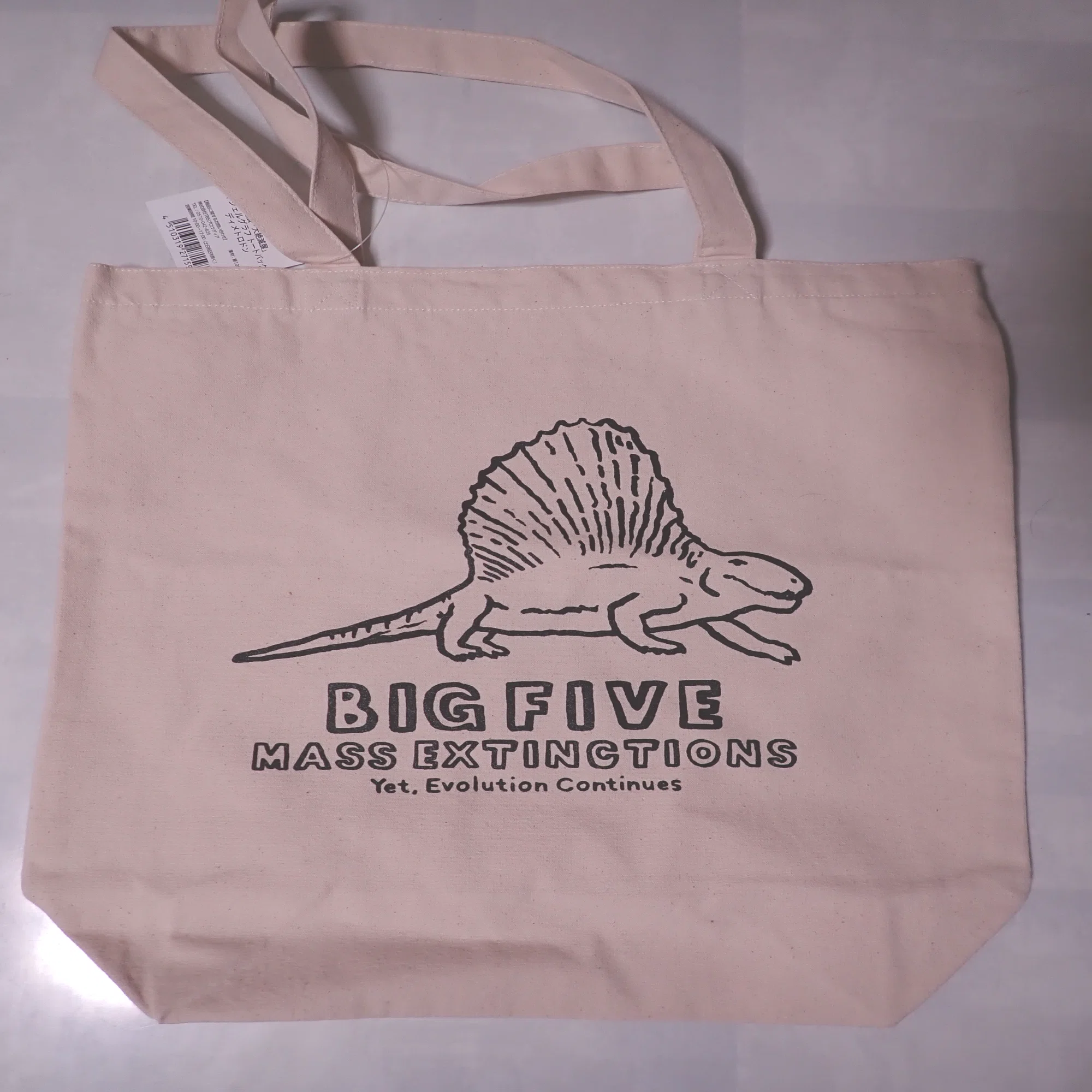 お値下げ！キモ可愛♡「大絶滅展―生命史のビッグファイブ」レア限定グッズ　絶滅動物 僕のディメトロドングッズを紹介します＠大絶滅展｜礼場日郎(にく電波)