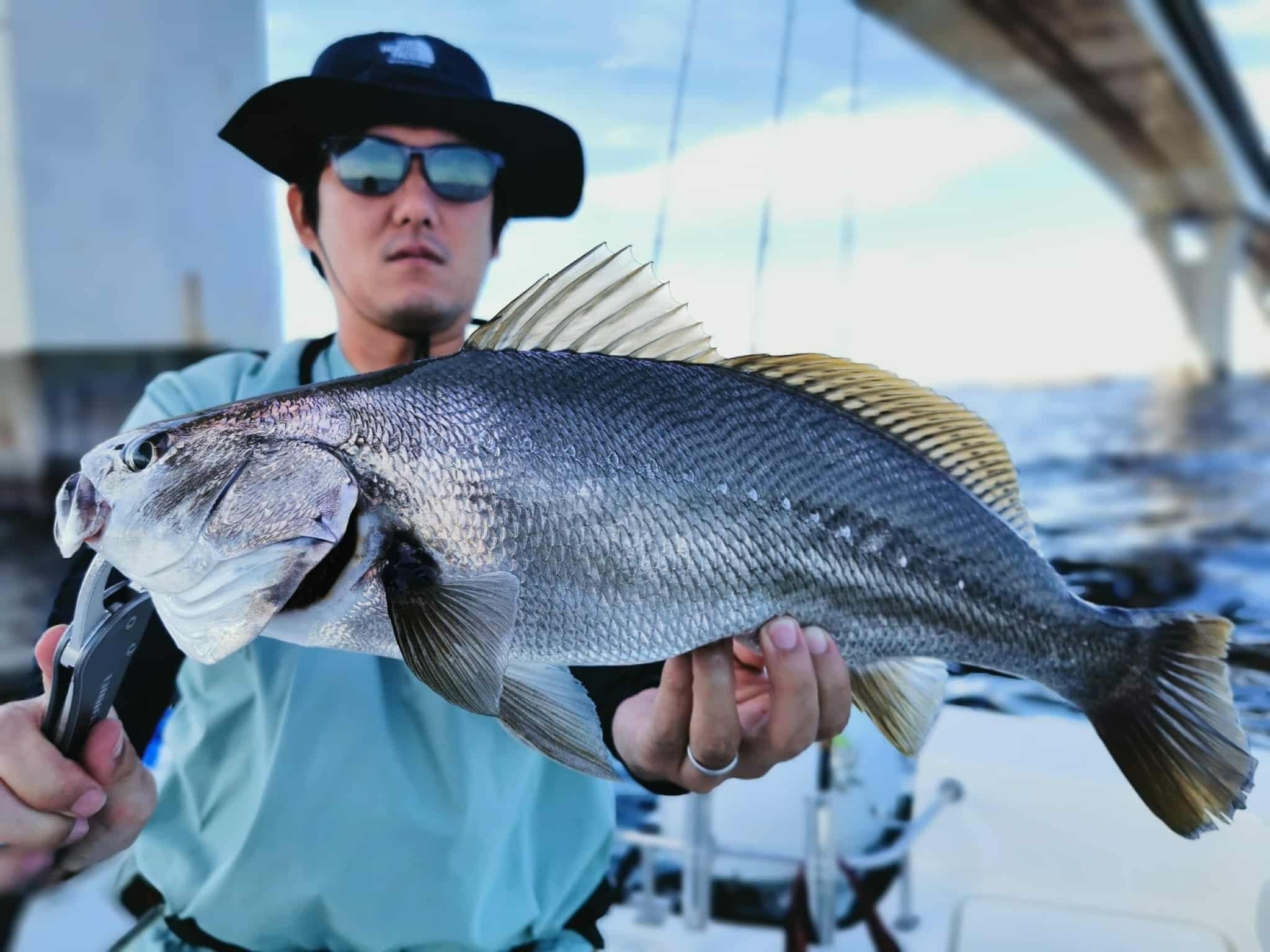 インプレ】シマノ スコーピオン1652R-5｜Fishman好きの僕がボートで