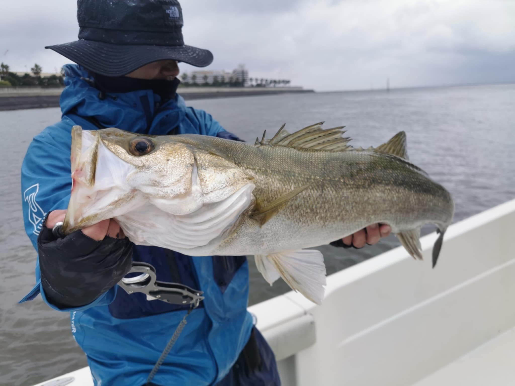 インプレ】シマノ スコーピオン1652R-5｜Fishman好きの僕がボートで