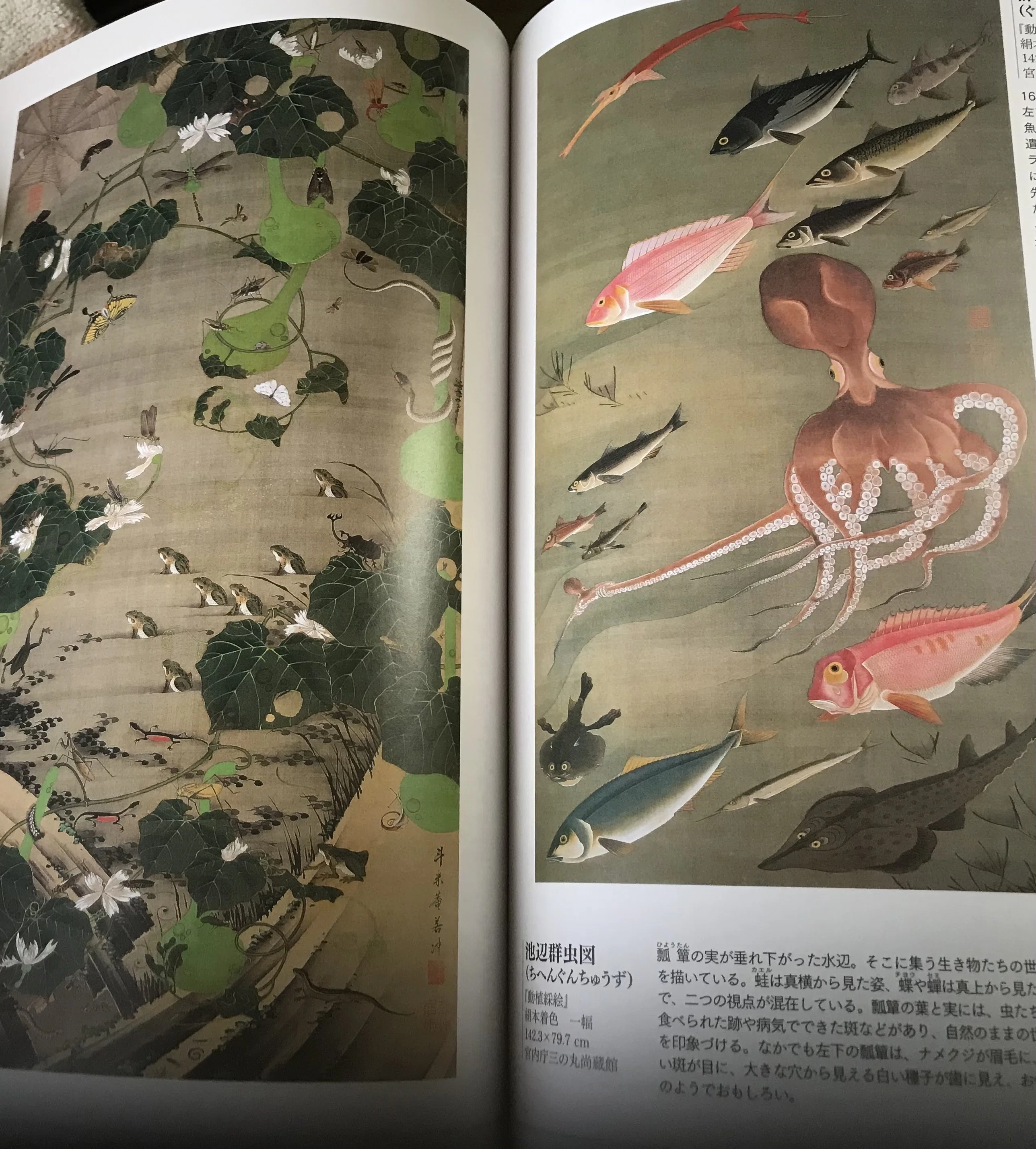 Invitation to Jakuchu｜TOMOKI