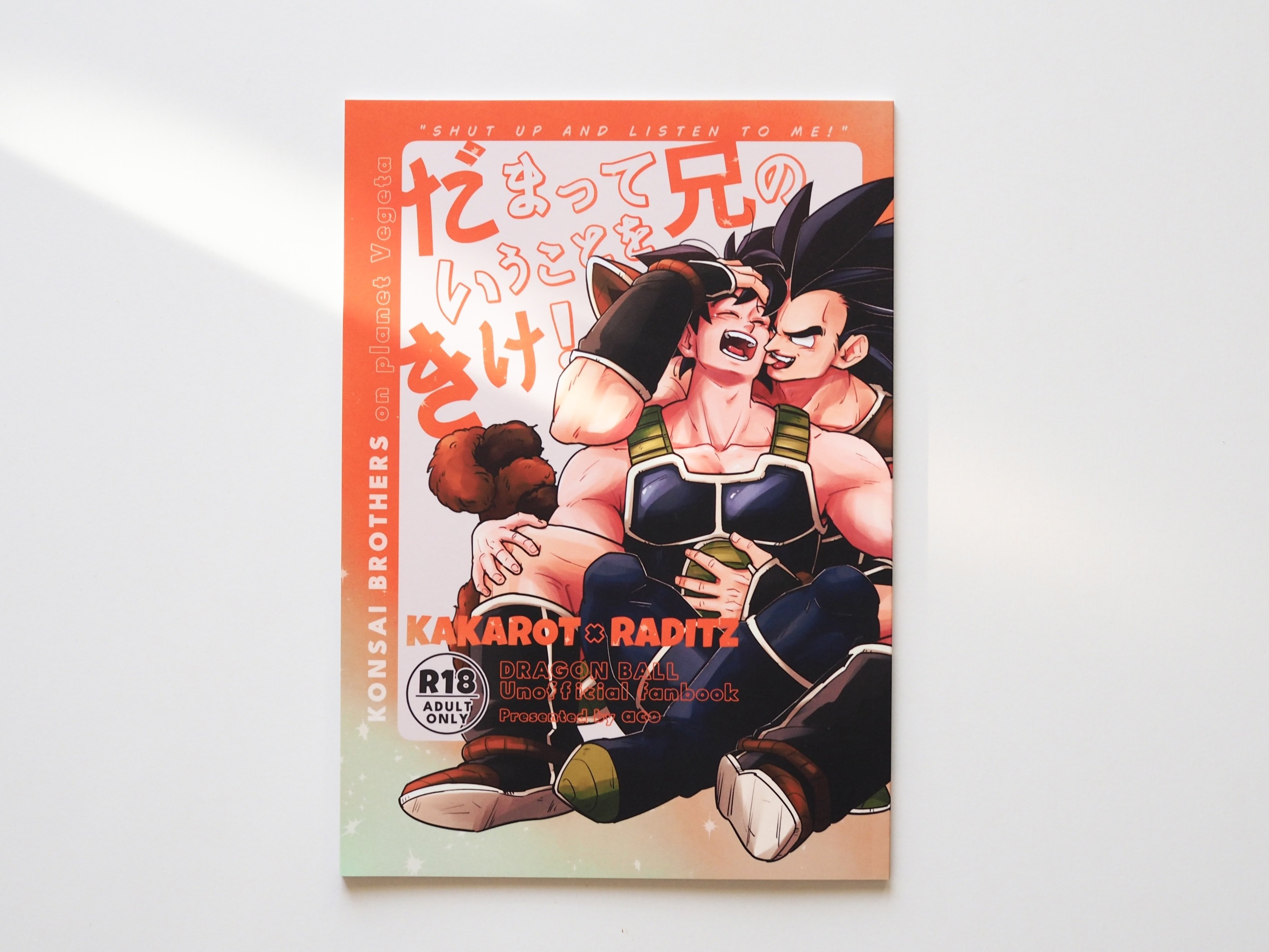 2024-25 同人誌装丁まとめ｜aco