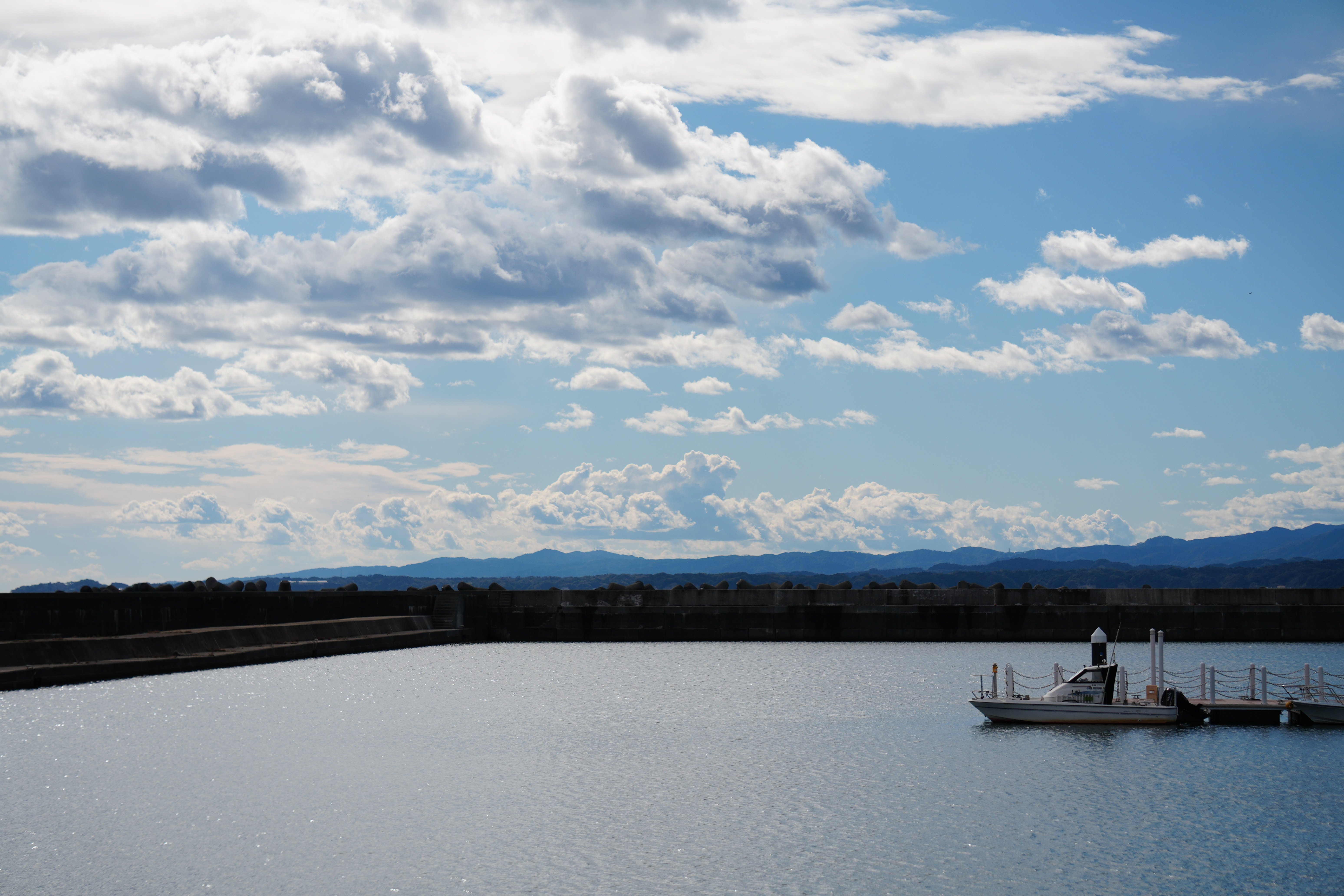 カルピスウォータが棚から消えた日｜ささやか